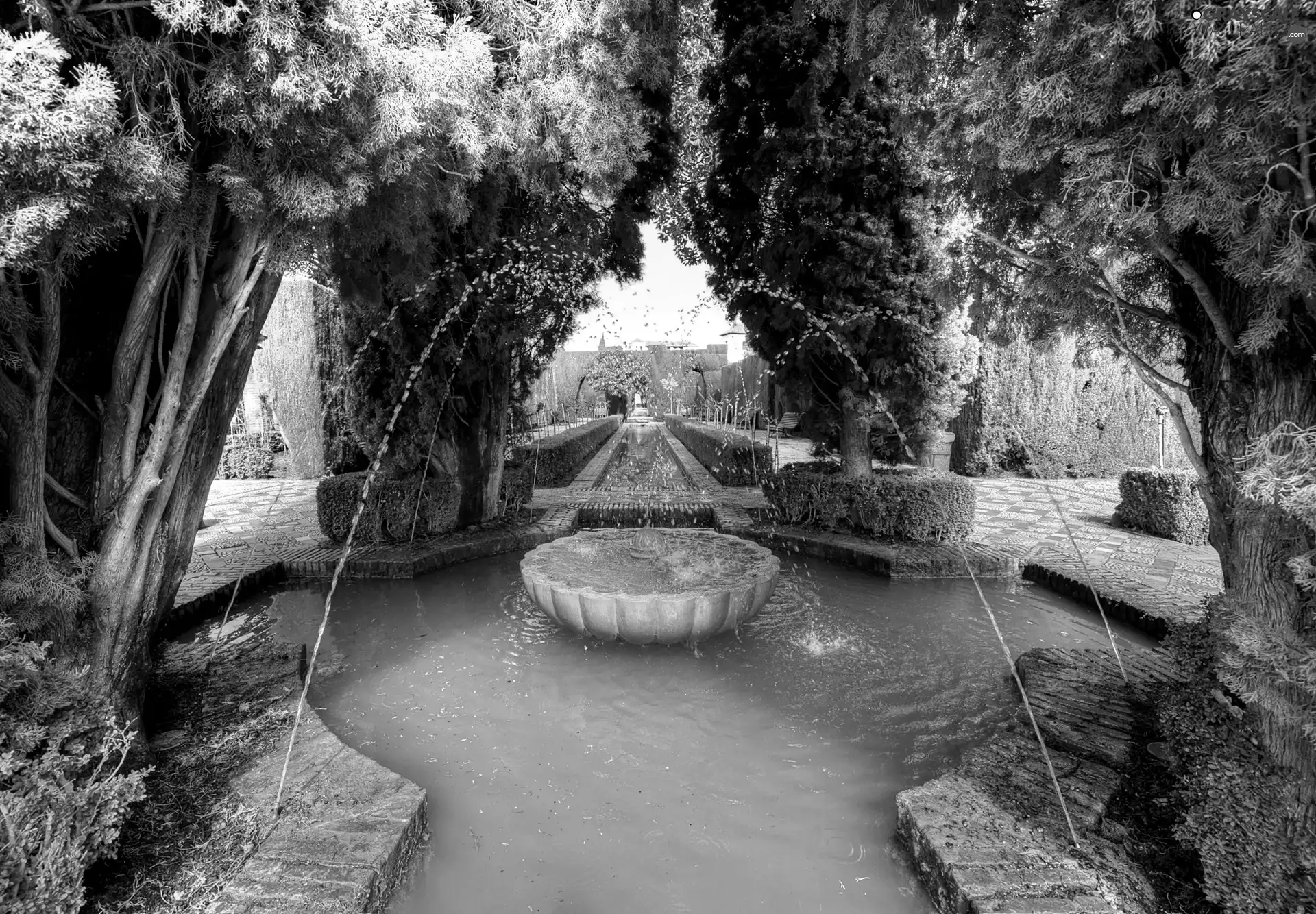 fountain, Granada, trees, Park, Spain, alley, viewes