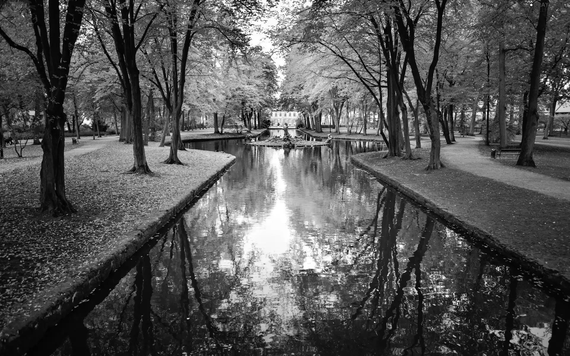 Alleys, autumn, container, water, Park