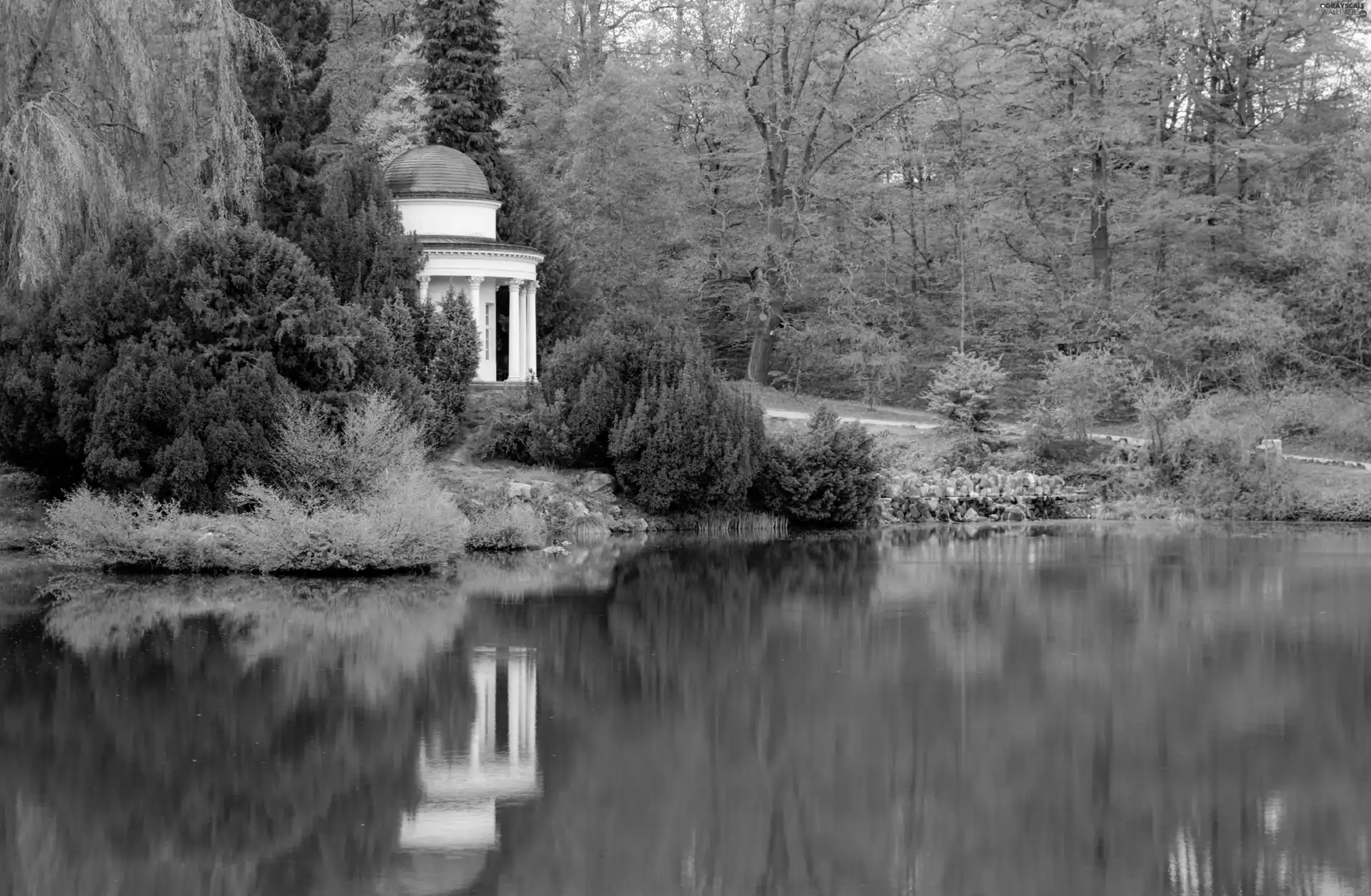 Park, Pond - car, Bush, arbour