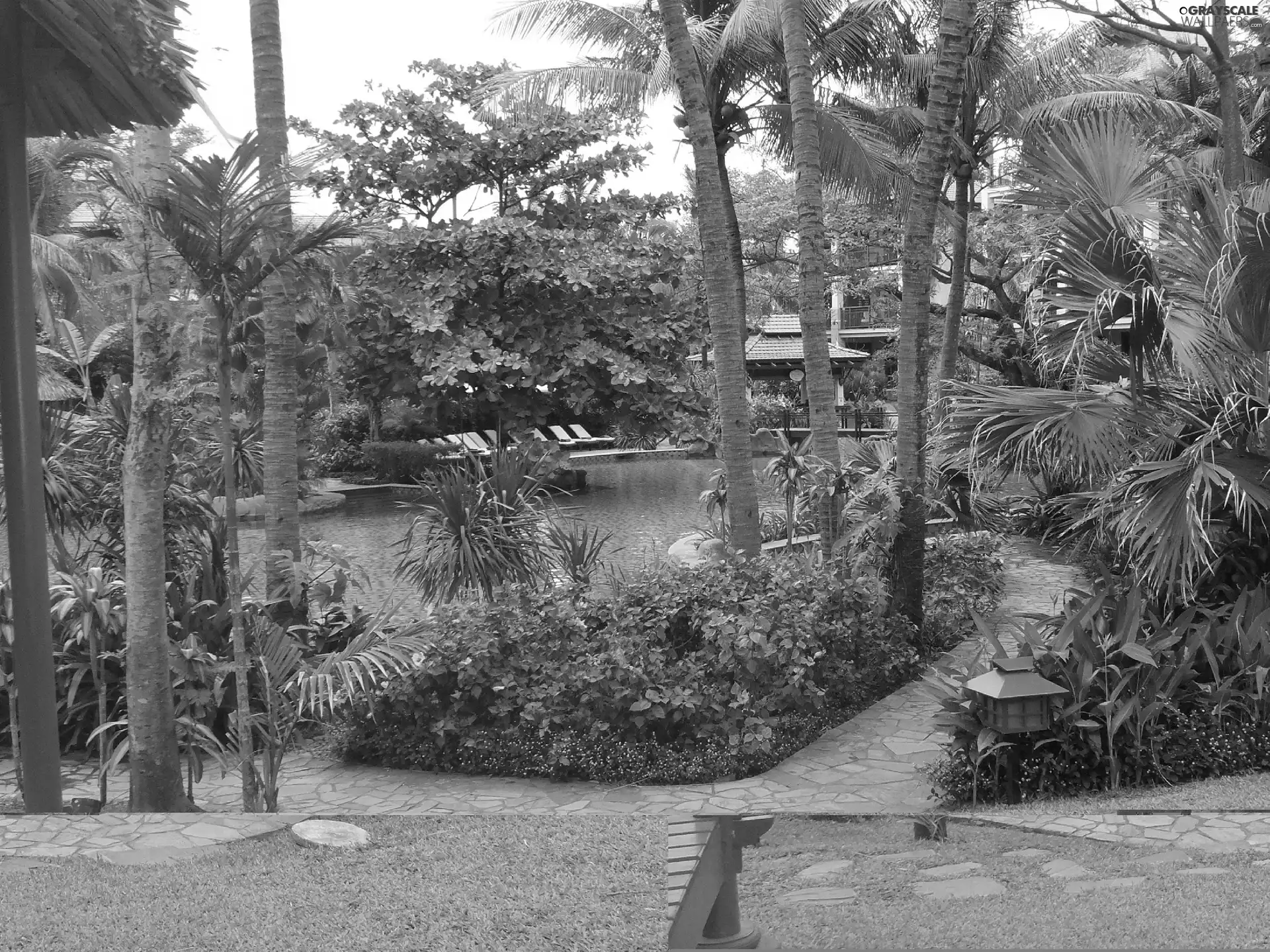 Garden, Pool, Alleys, tropical