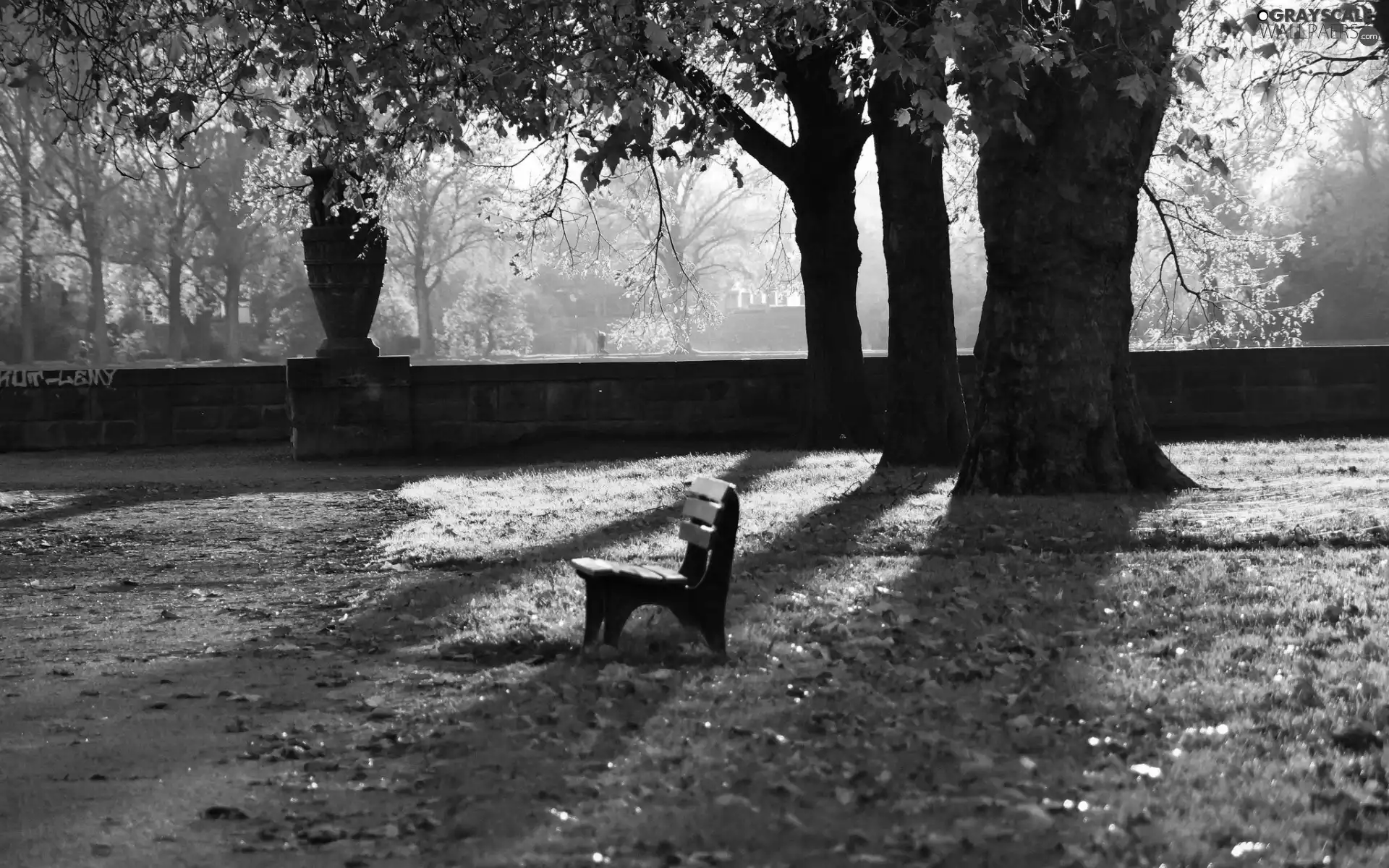 sun, Bench, Leaf, luminosity, Przebijające, Park, Alleys, autumn, flash, ligh