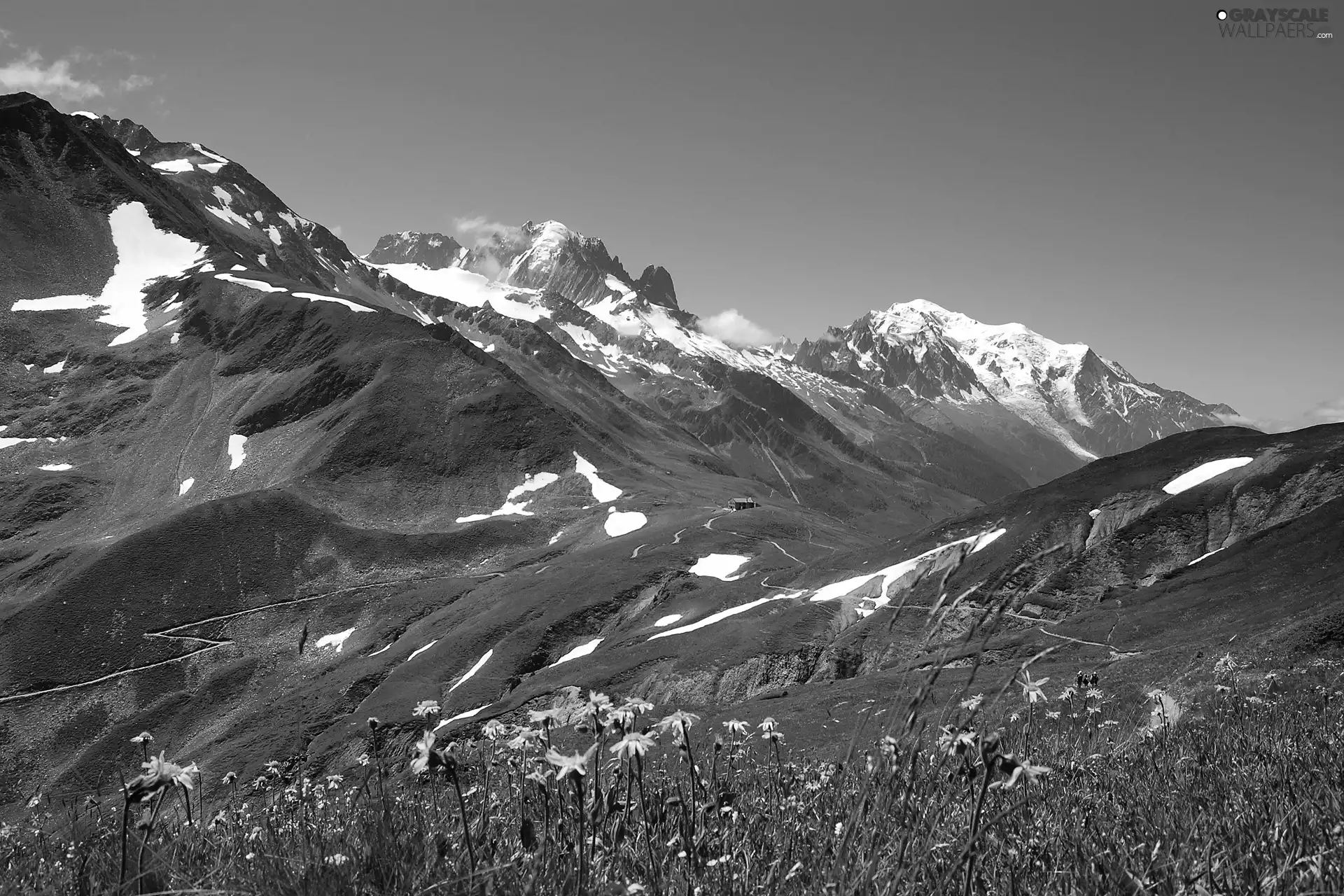 Alps, Meadow, Mountains