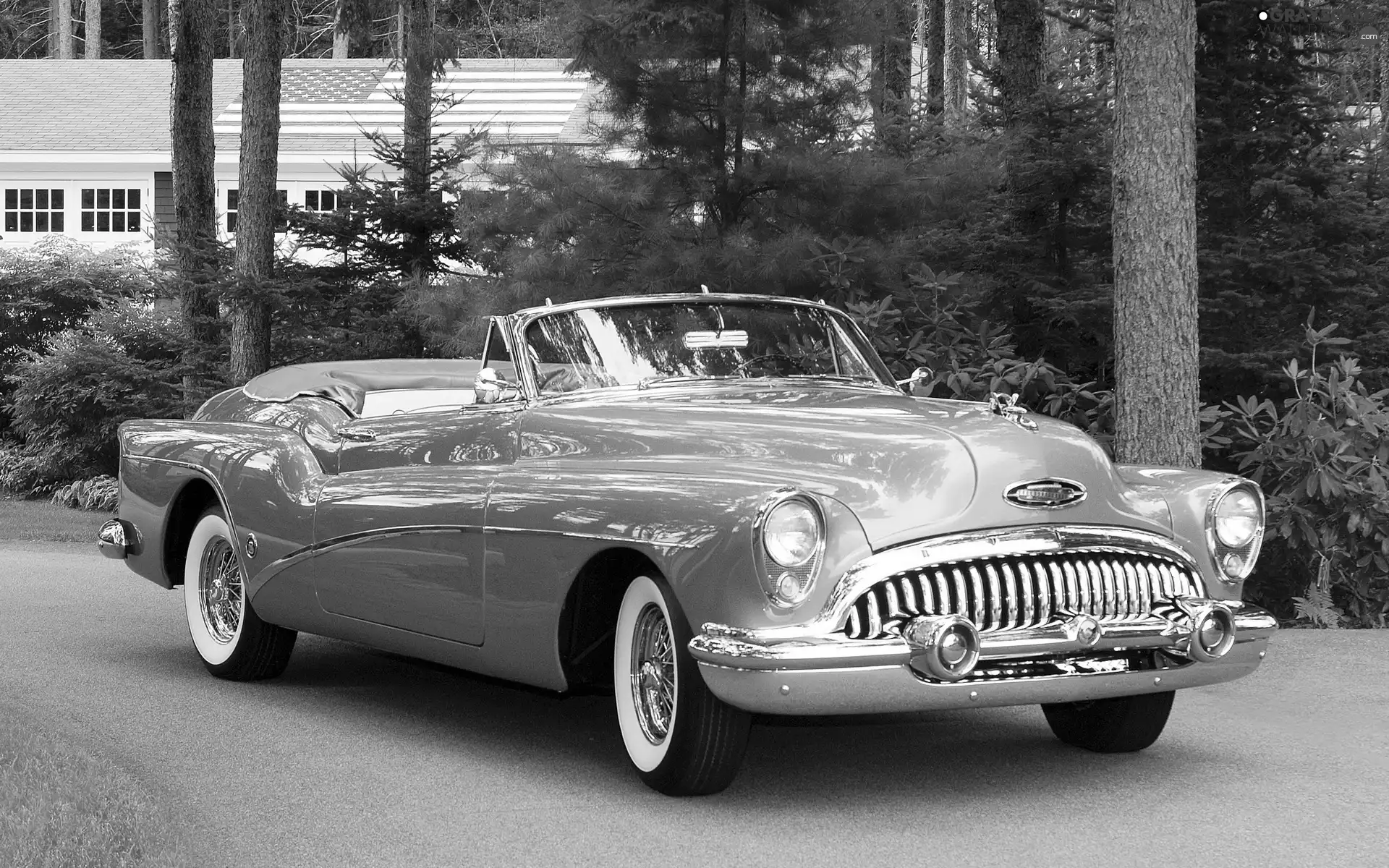 Buick Skylark 53, antique, AMERICAN