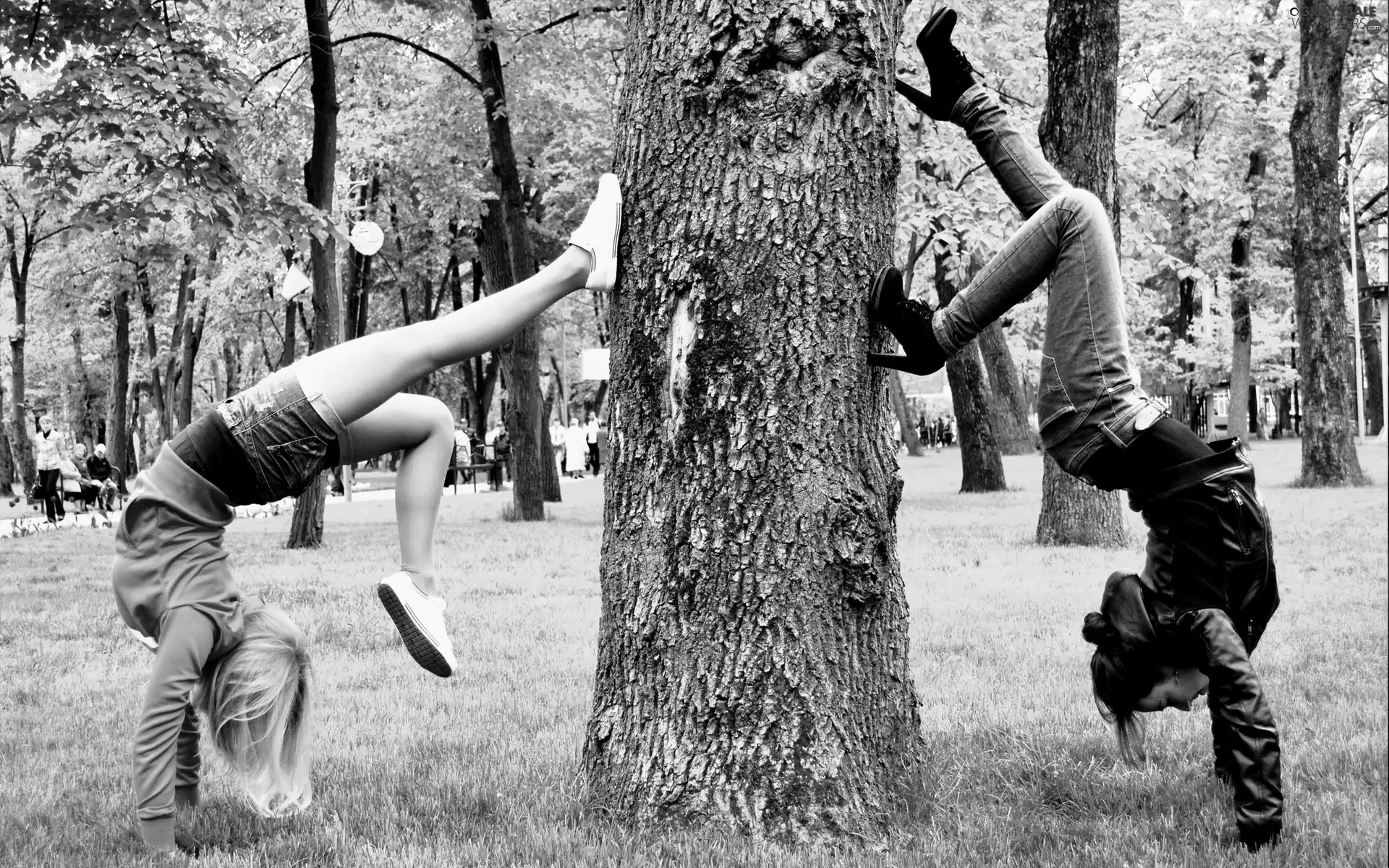 Womens, Park, an, Hands, collar, Two