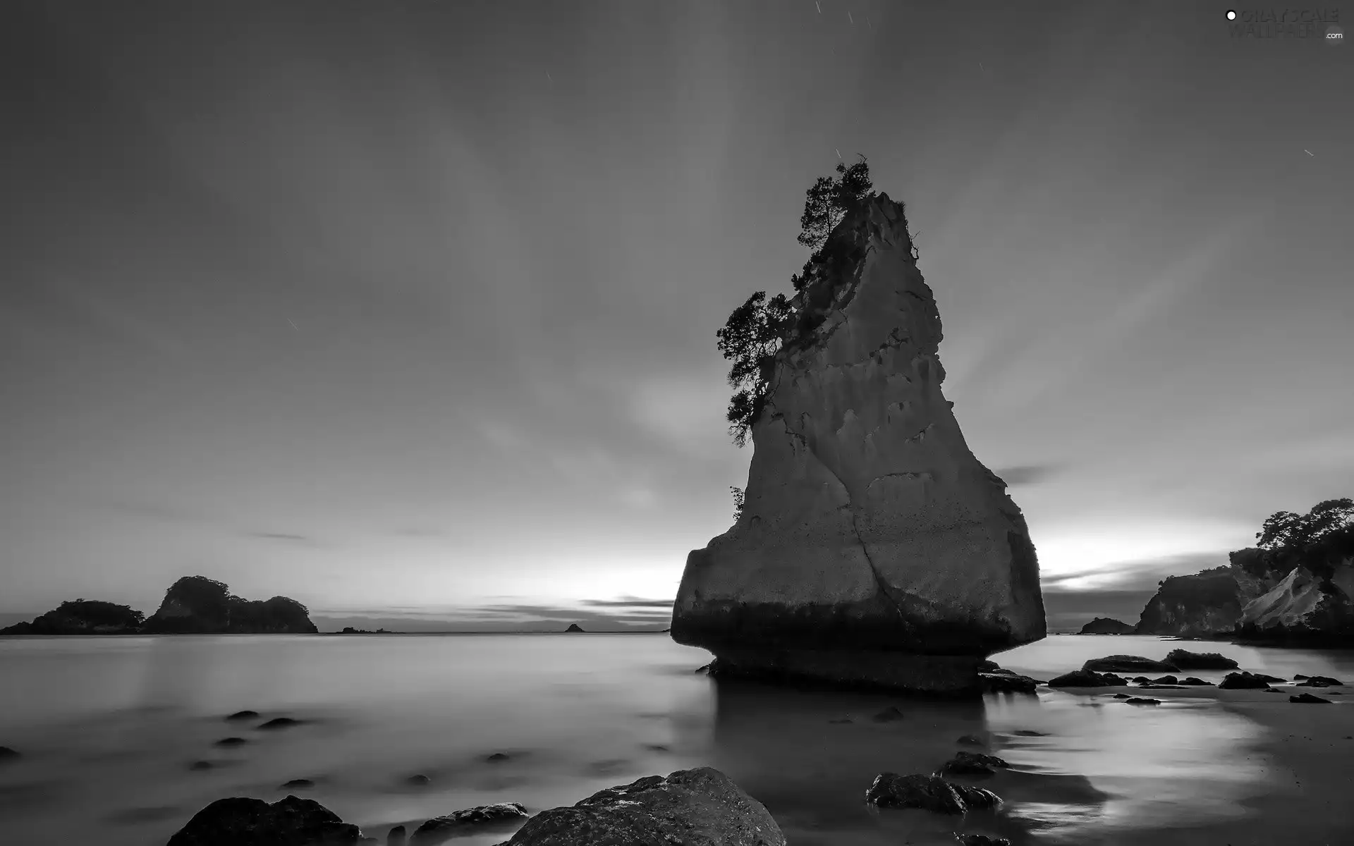 an, Rock, trees, viewes, sea