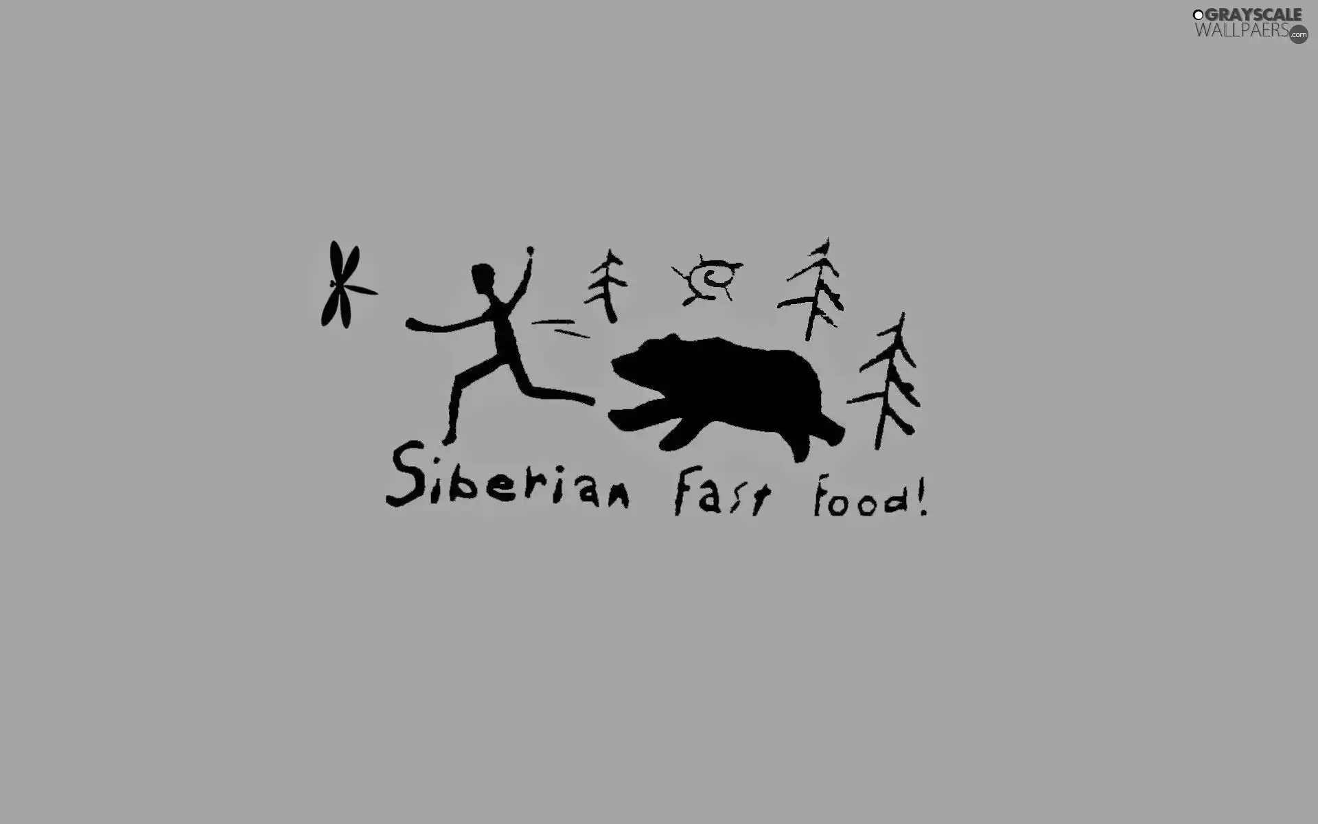 for, Bear, an, Siberia, food, runs