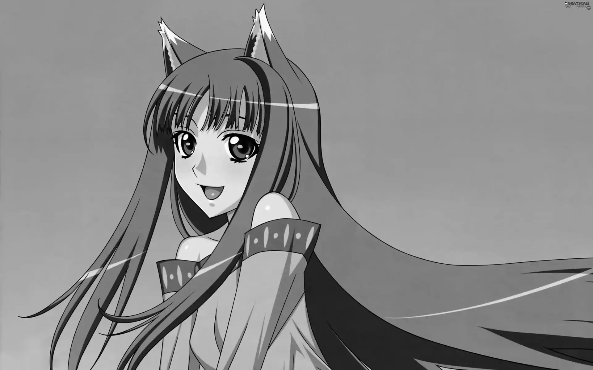 Spice and Wolf