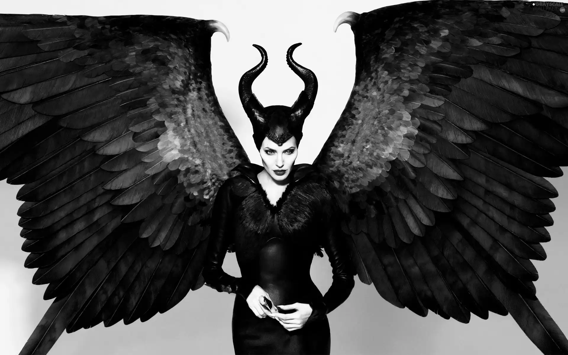 Angelina Jolie, wings