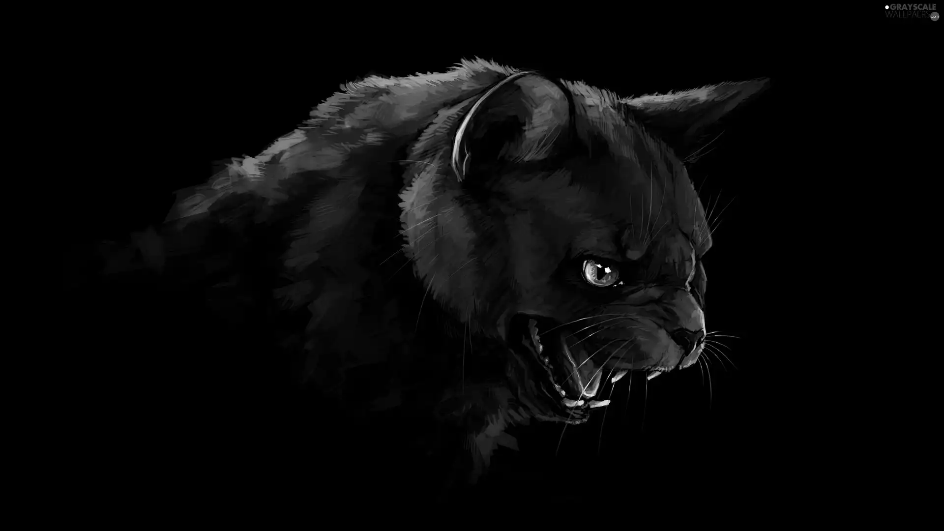 canines, cat, Eyes, anger, Black, Blue, graphics