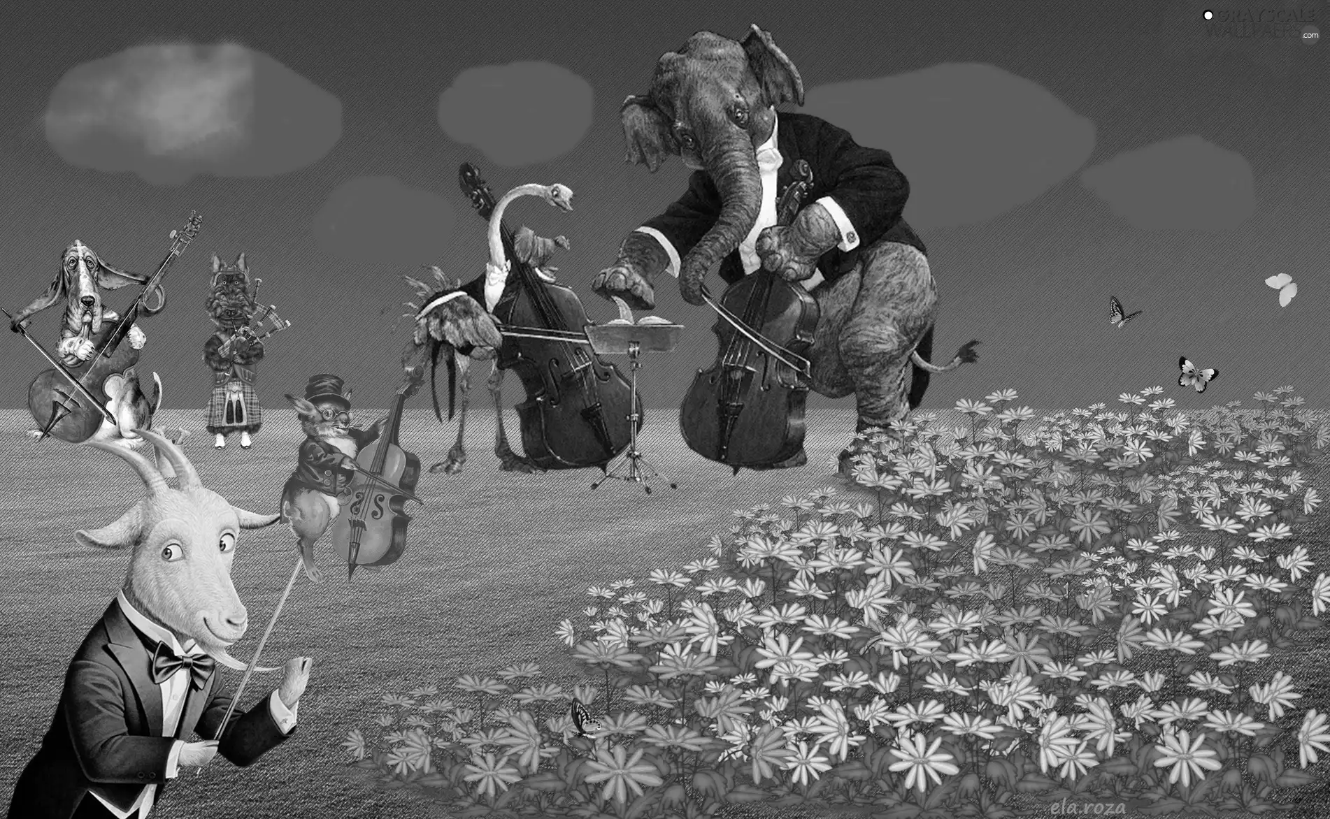 animals, Cheerful, orchestra
