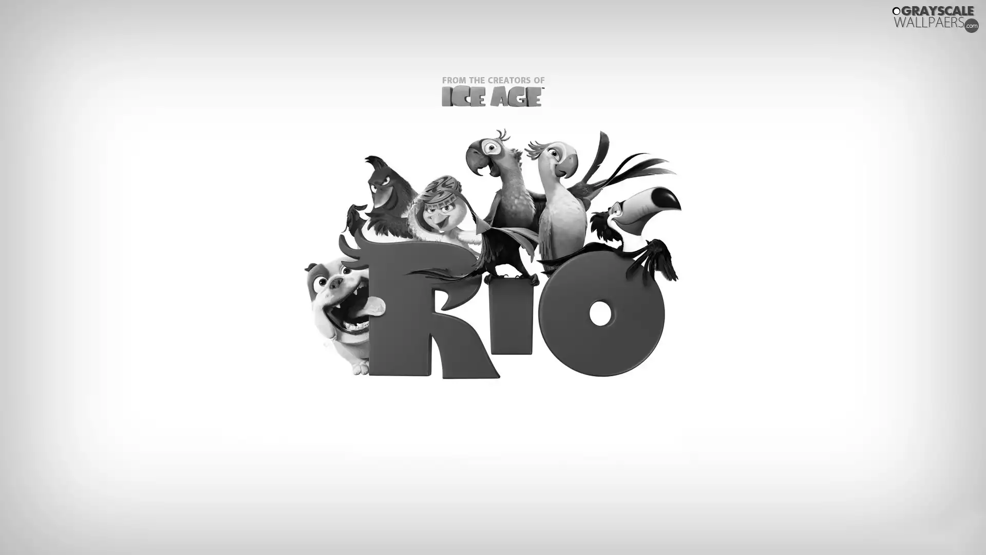 Rio, animals