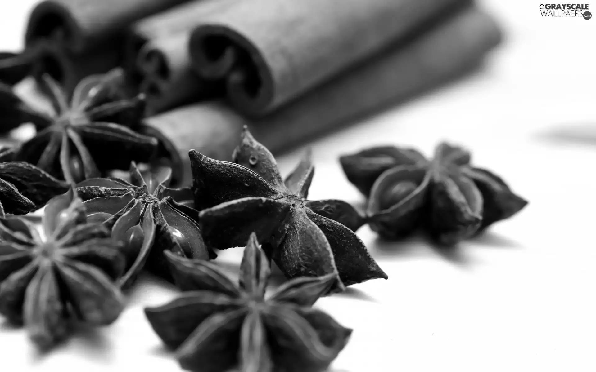 Anis, spice, cinnamon
