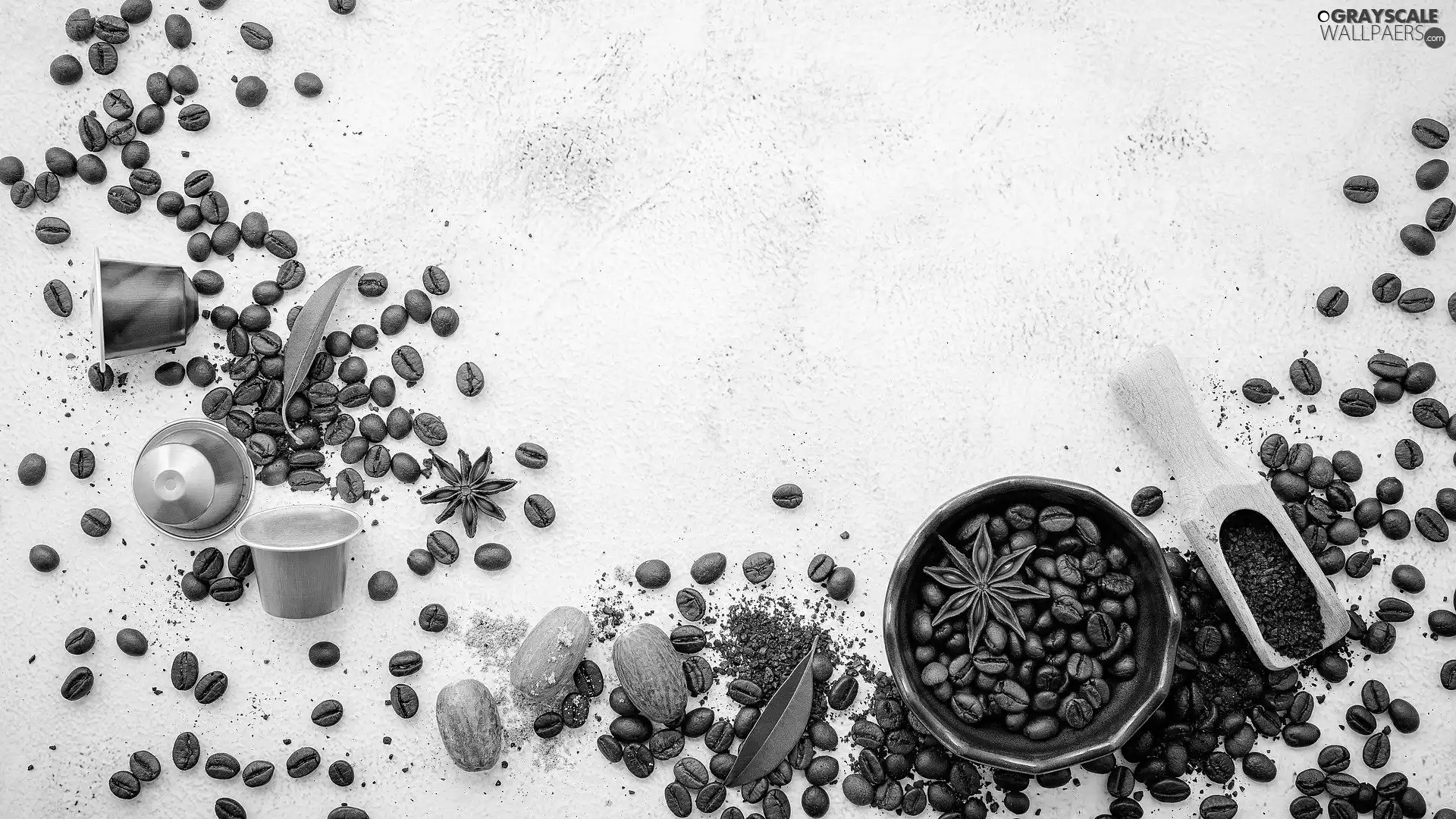 capsules, anise, coffee, Blade, grains