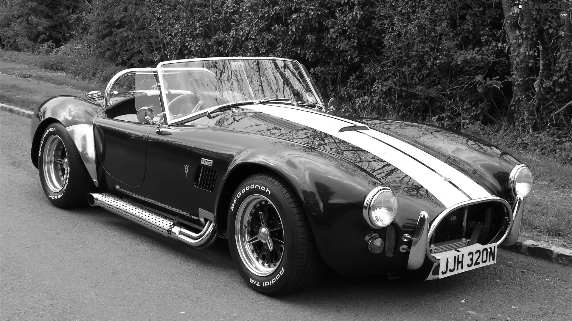 Shelby Cobra, 1965, antique, AC Cobra