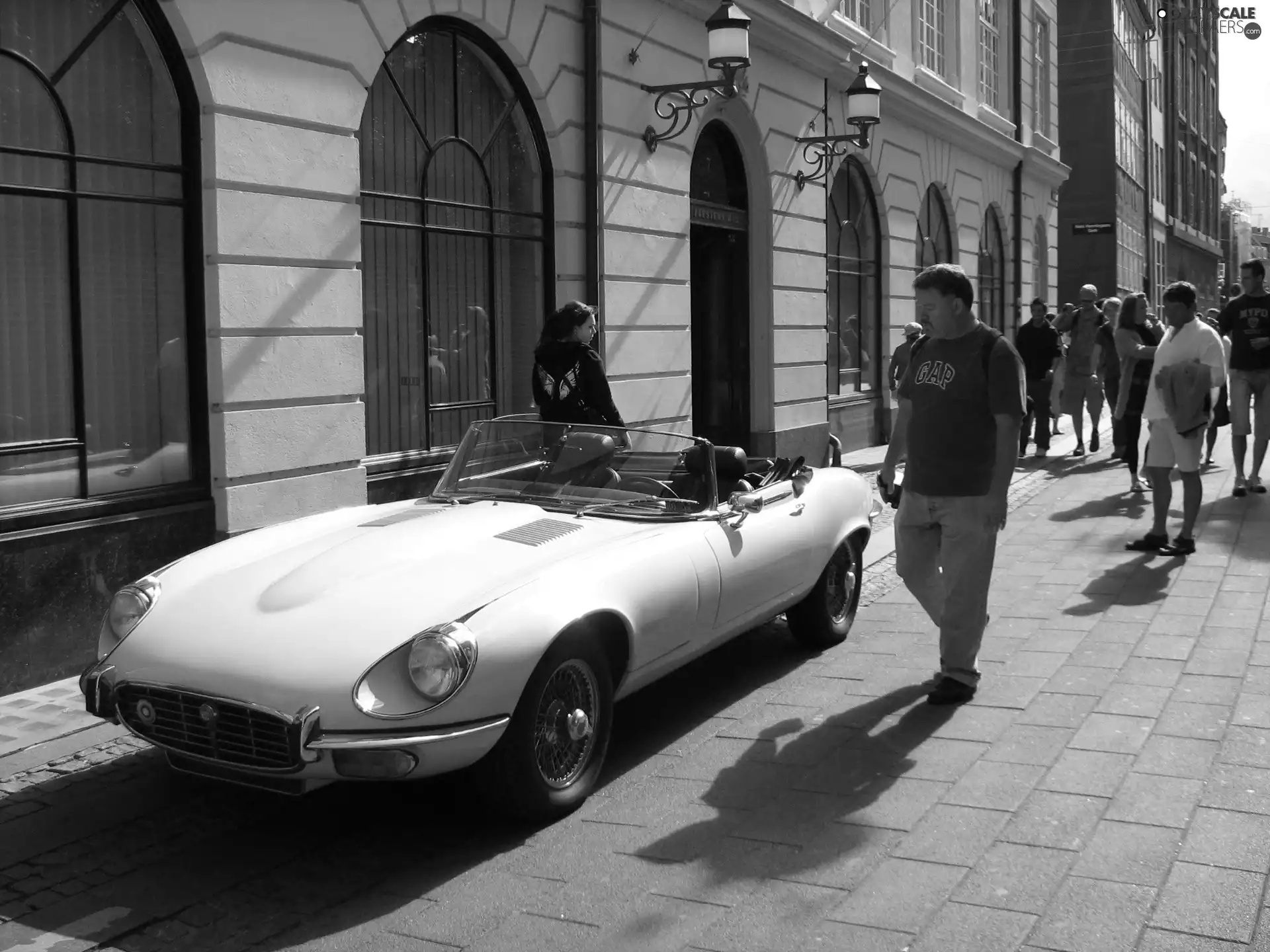 Antique Jaguar E-Type
