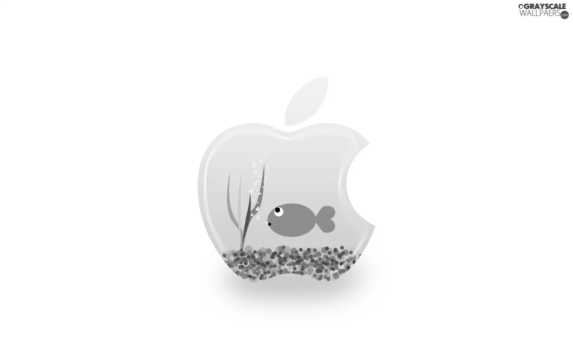aquarium, Apple