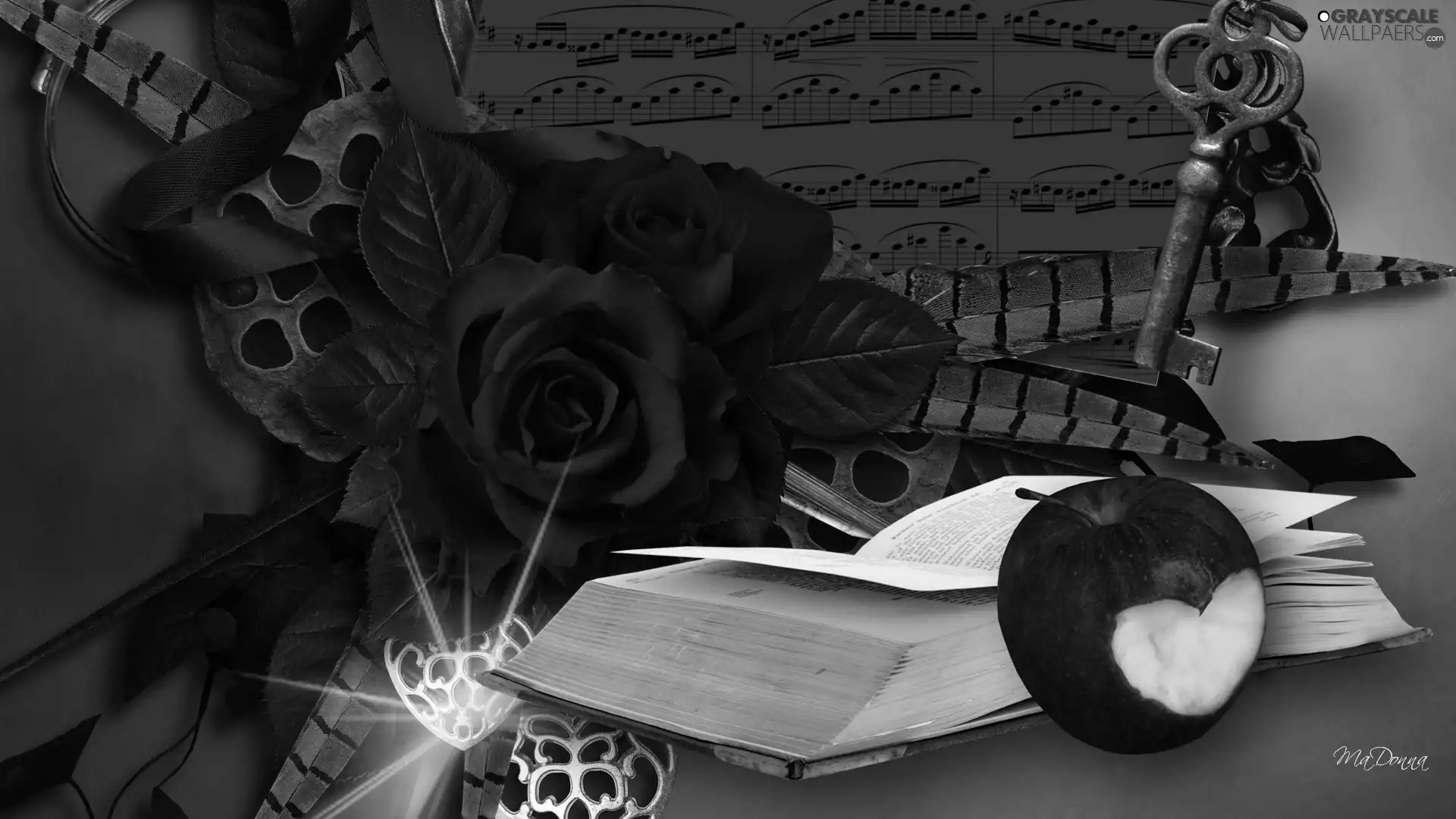 Apple, roses, Book