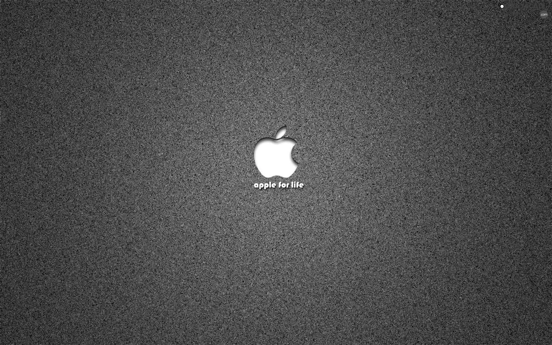 Components, Apple
