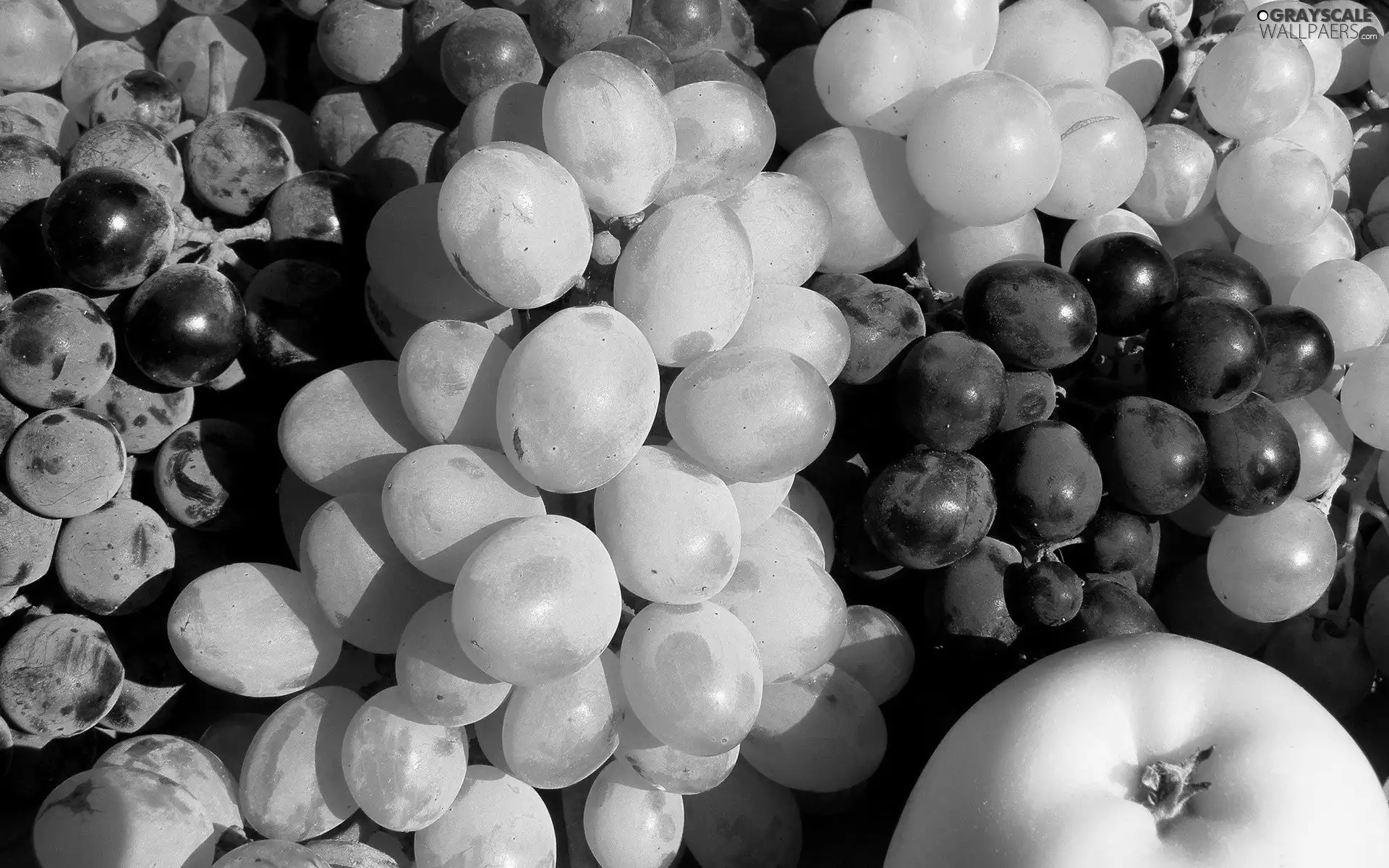 Grapes, Apple