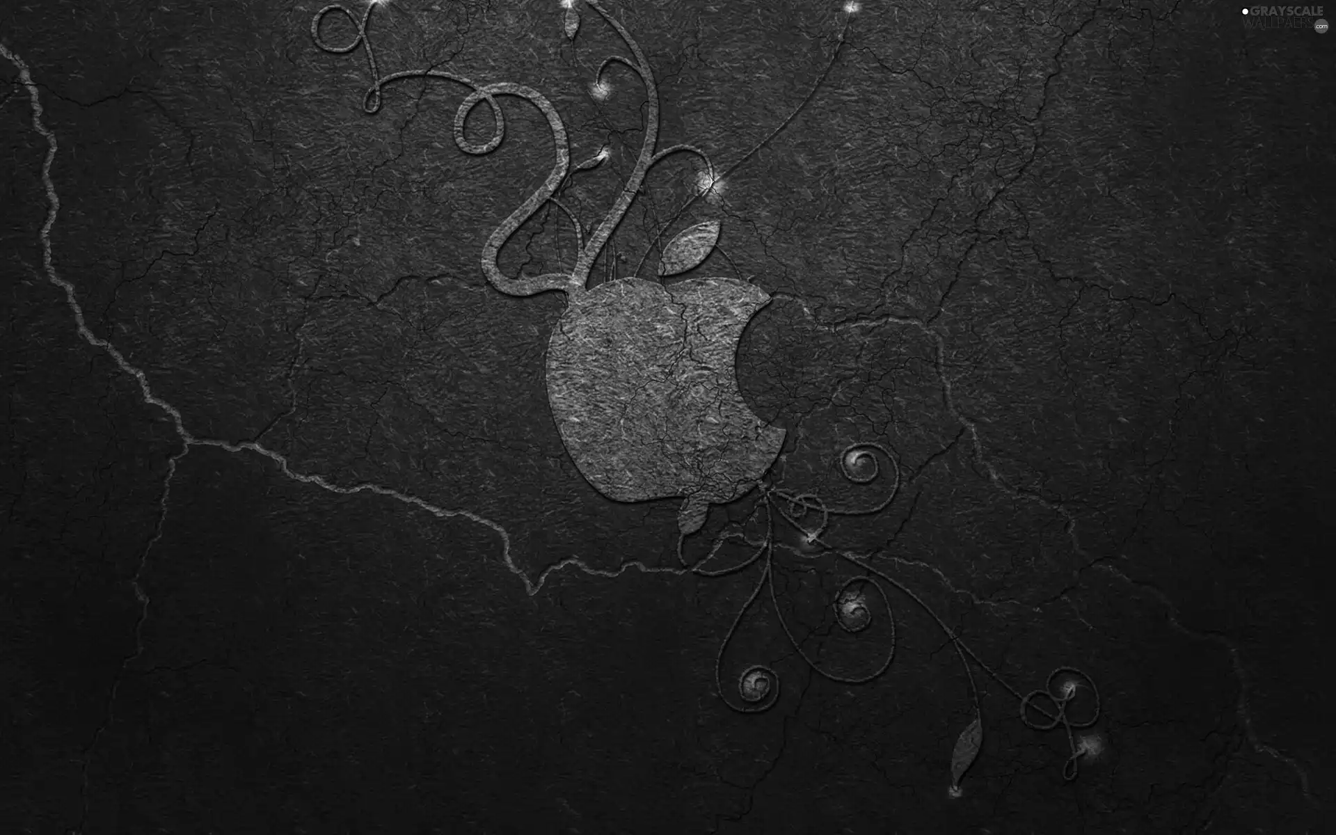 logo, Apple