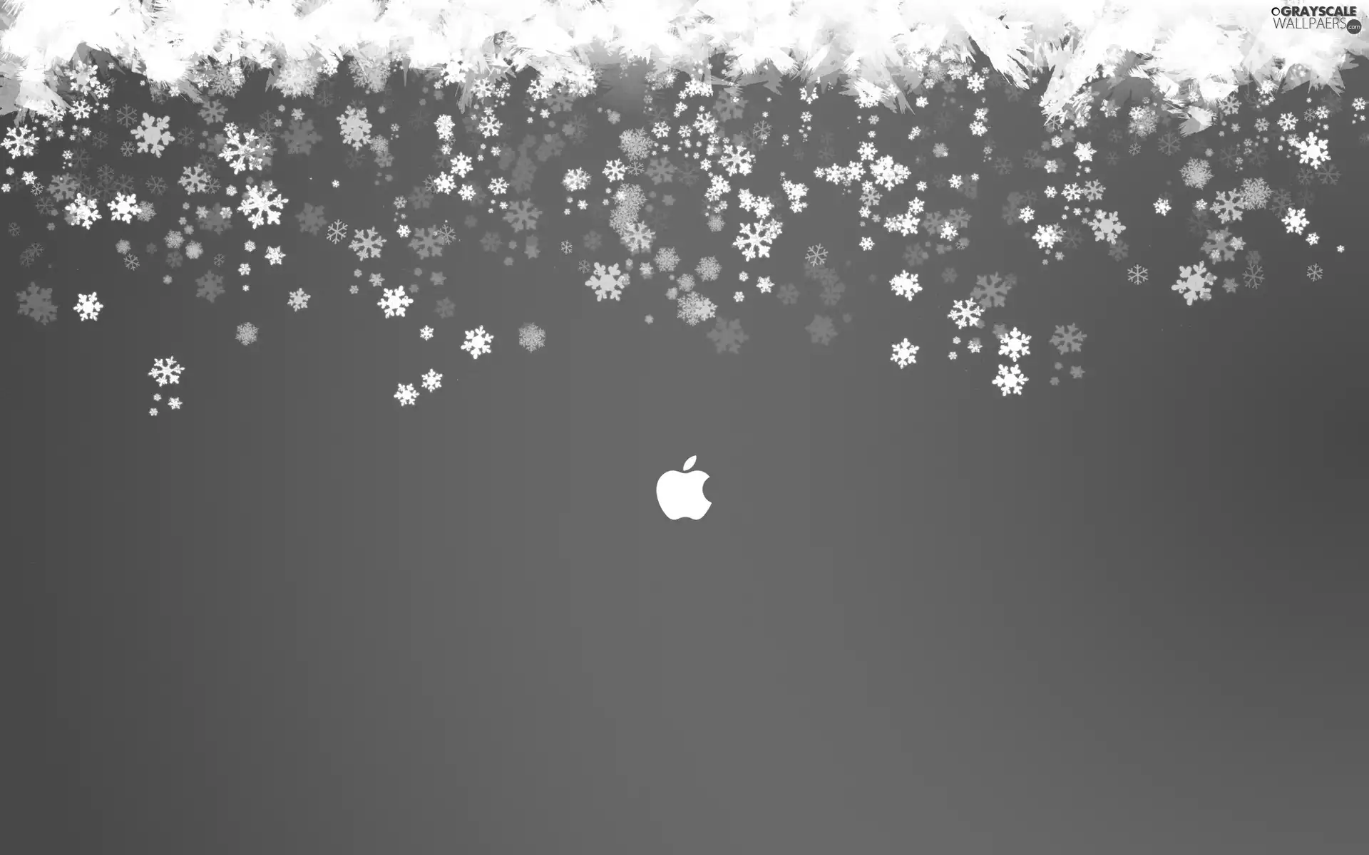 Apple, flakes, snow