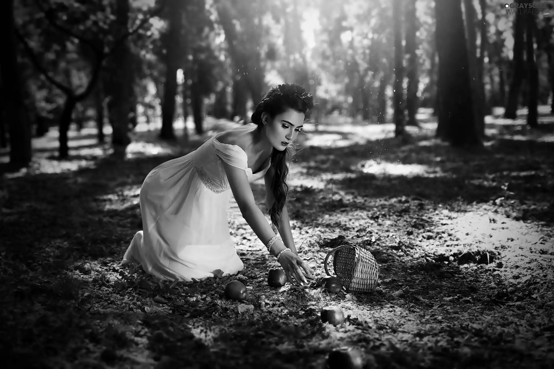 apples, basket, Women, scattered, forest