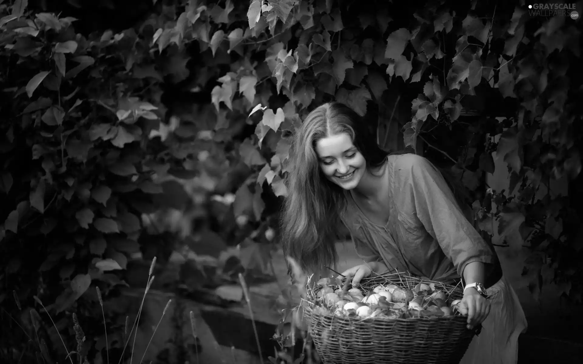 apples, harvest, orchard, basket, Women