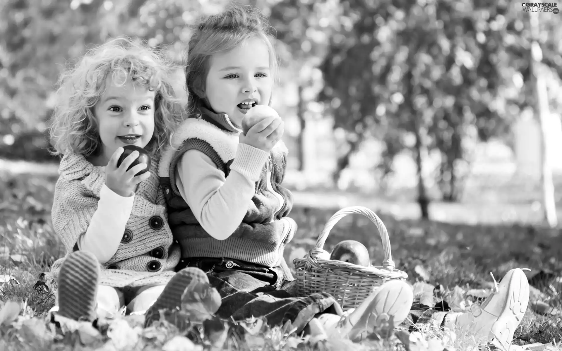 Kids, basket, apples, Meadow
