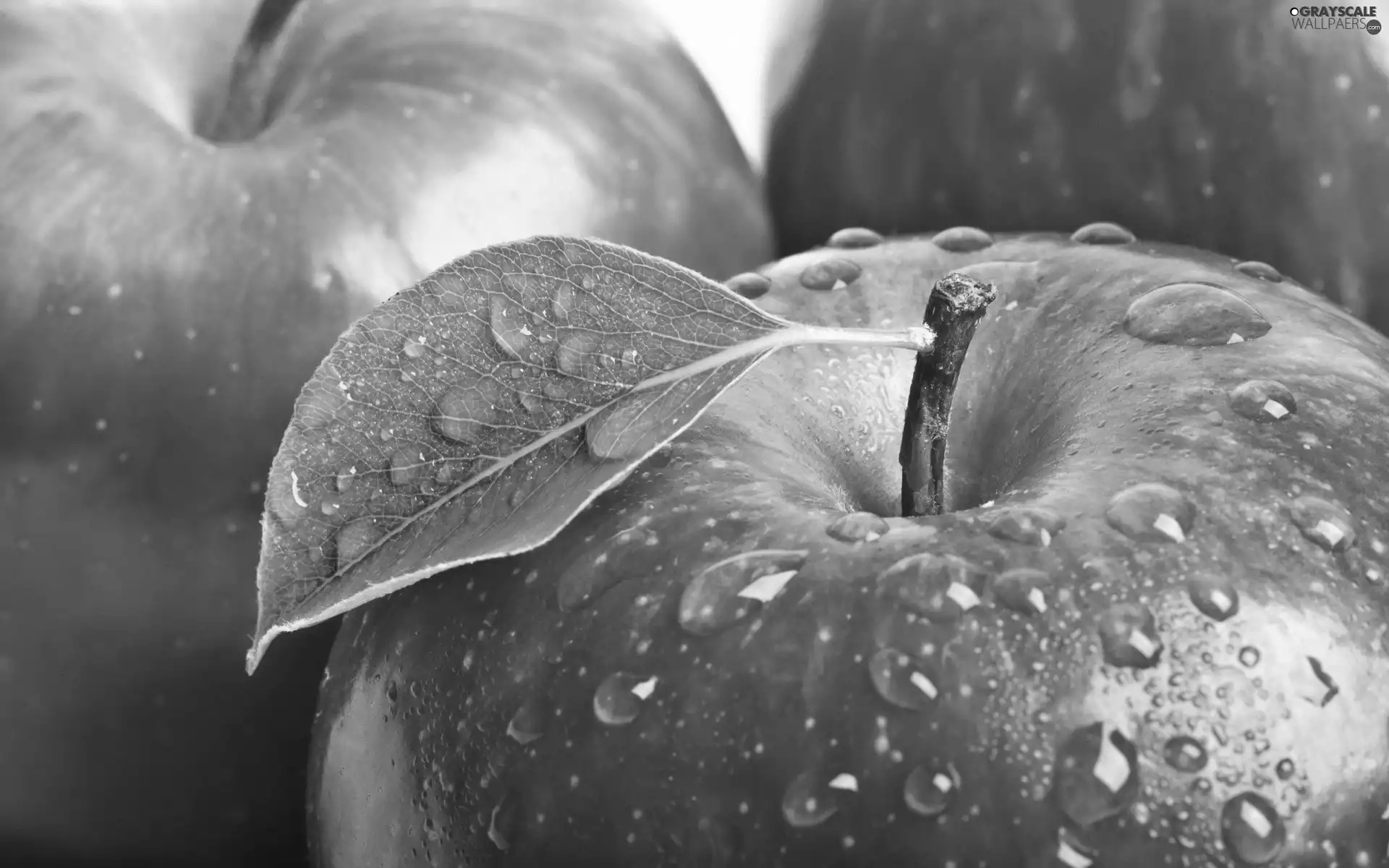 Red, apples