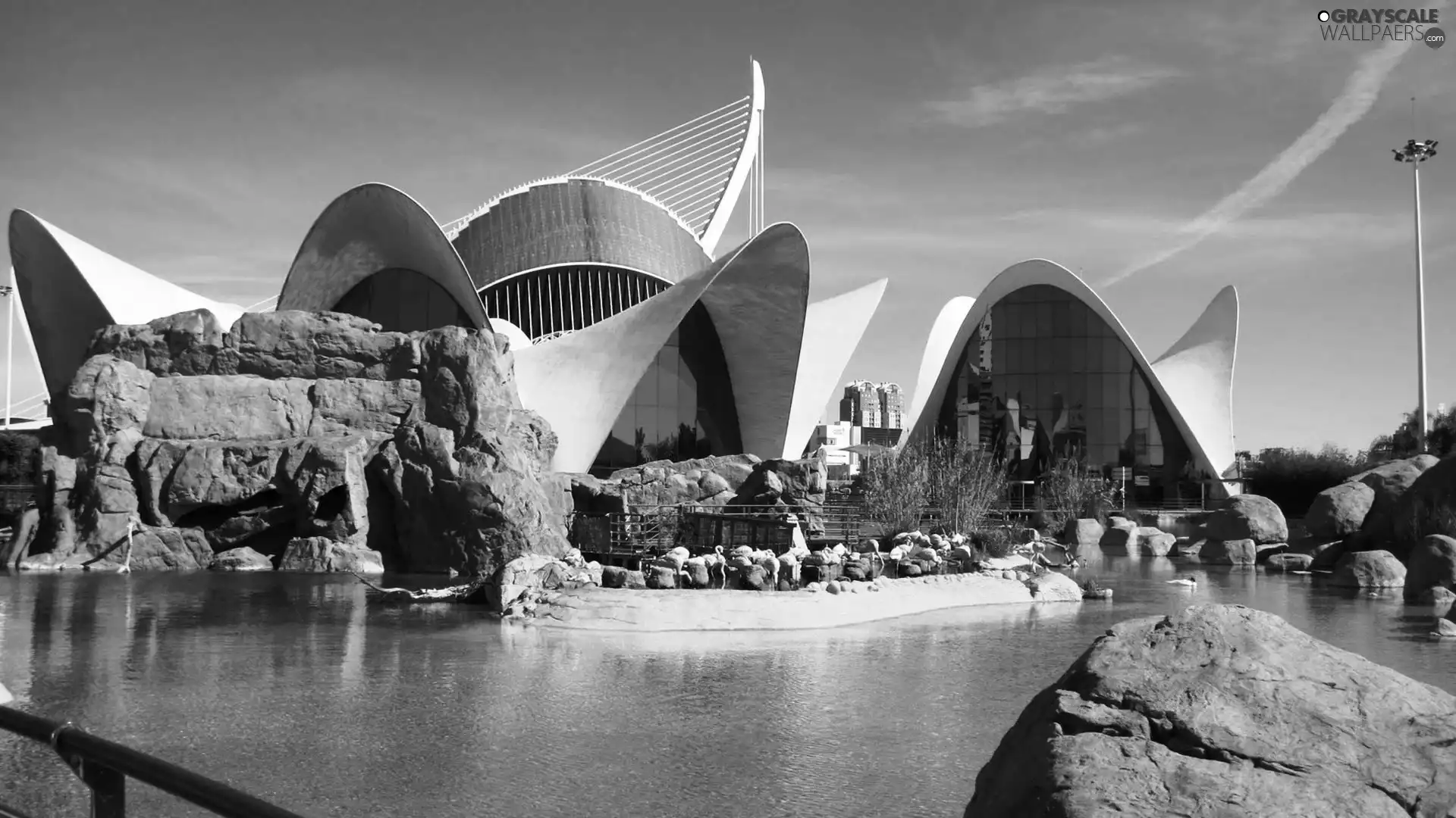 aquarium, Valencia, Spain