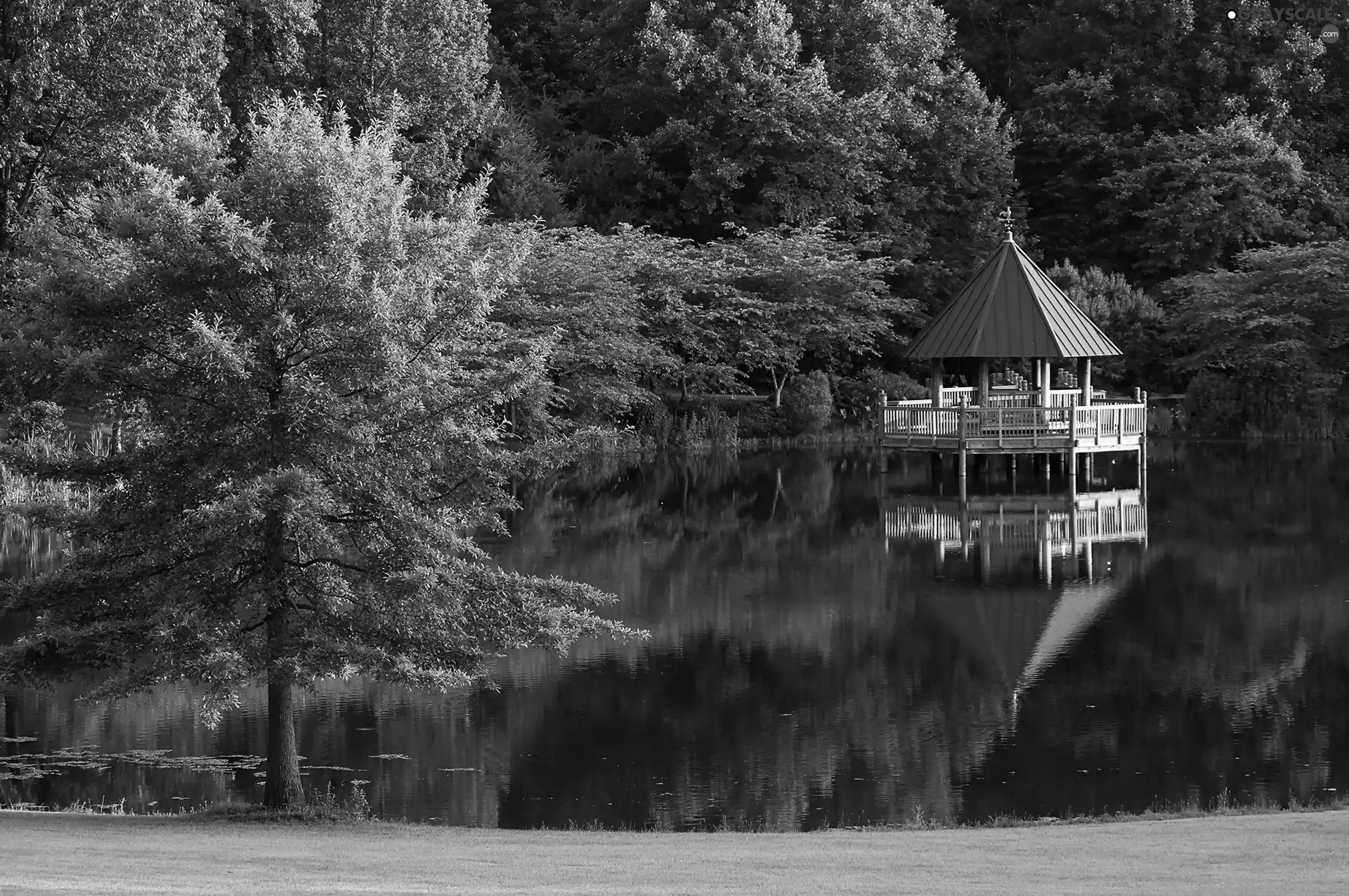 arbour, reflection, Park, Pond - car, summer