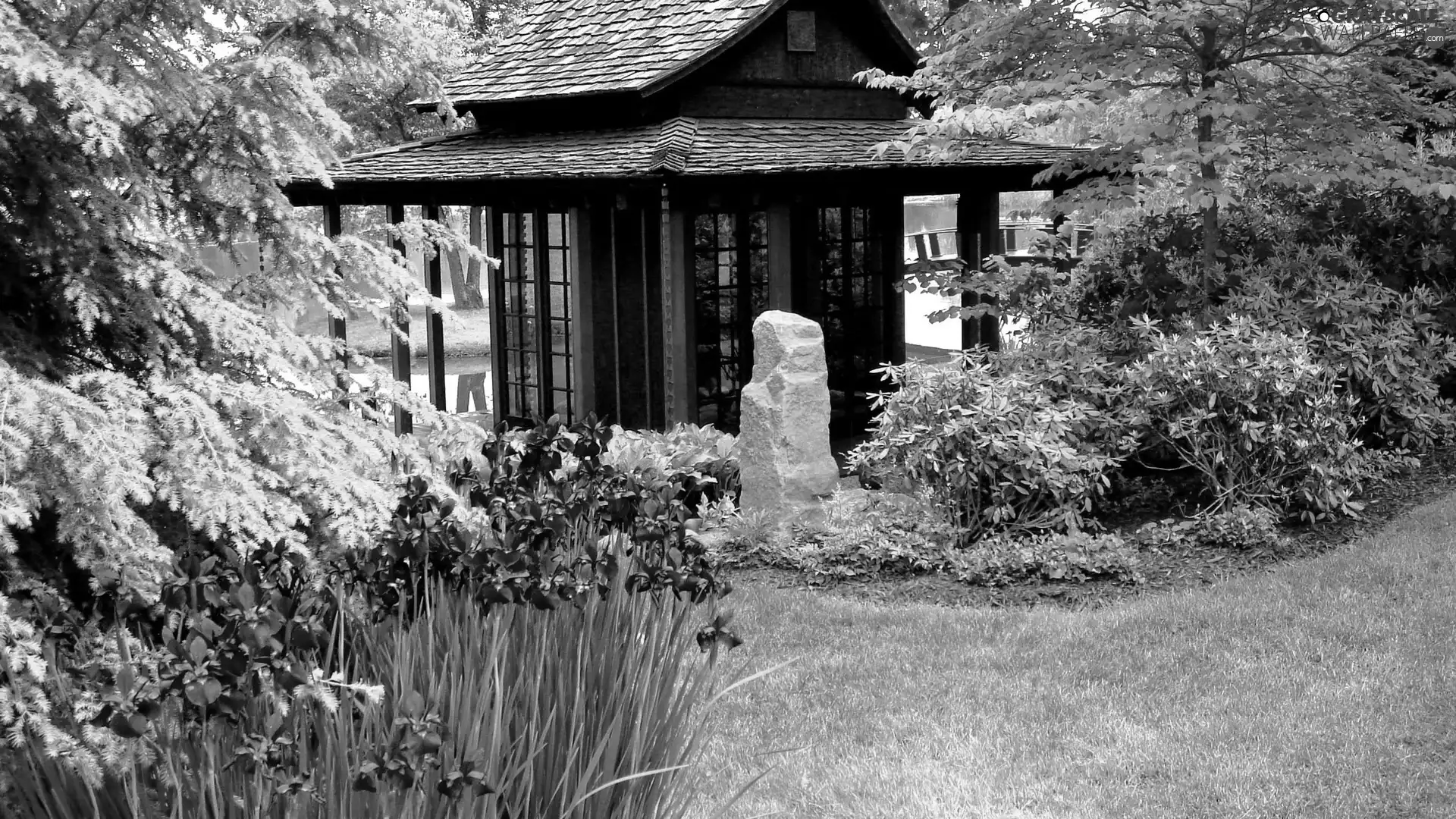 Park, Flowers, arbour, Garden