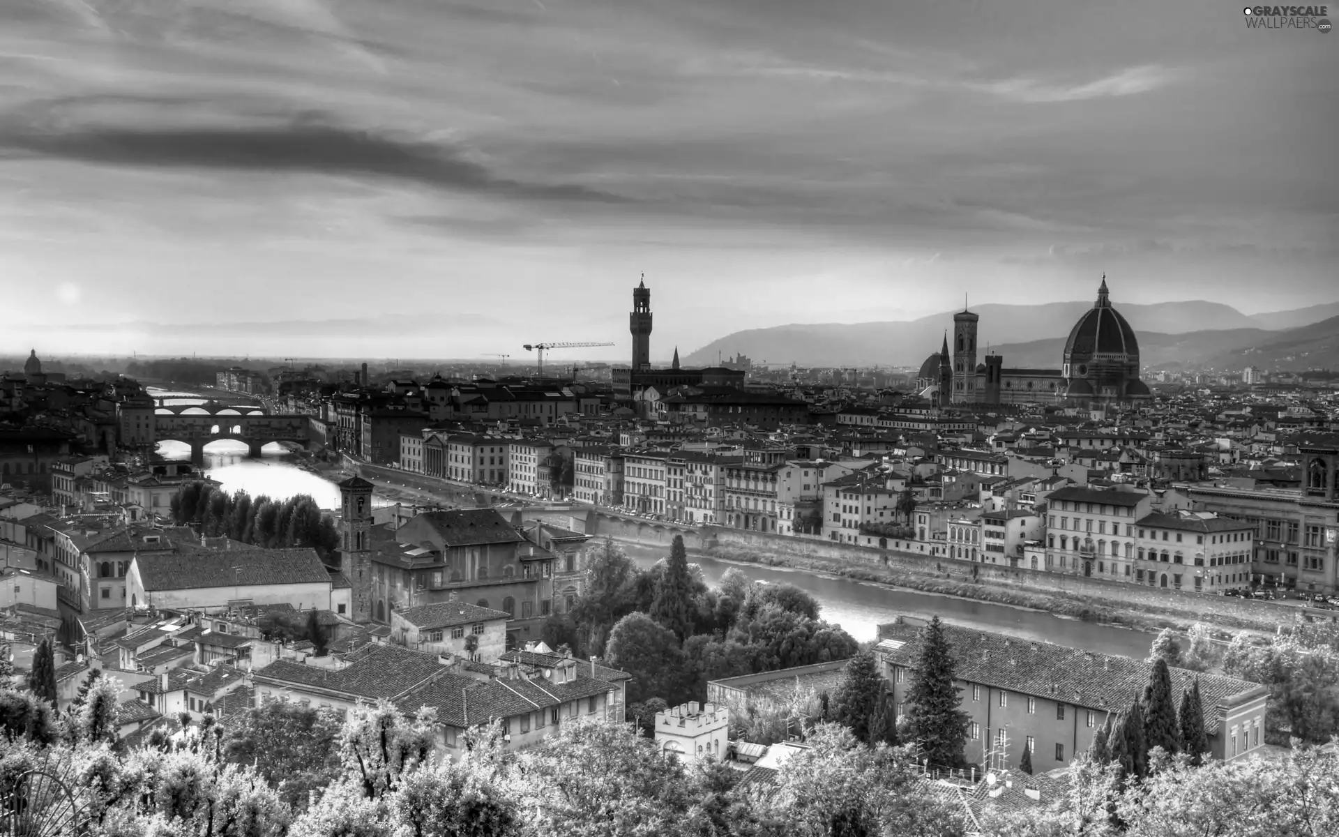 Town, River, Arno, Florence