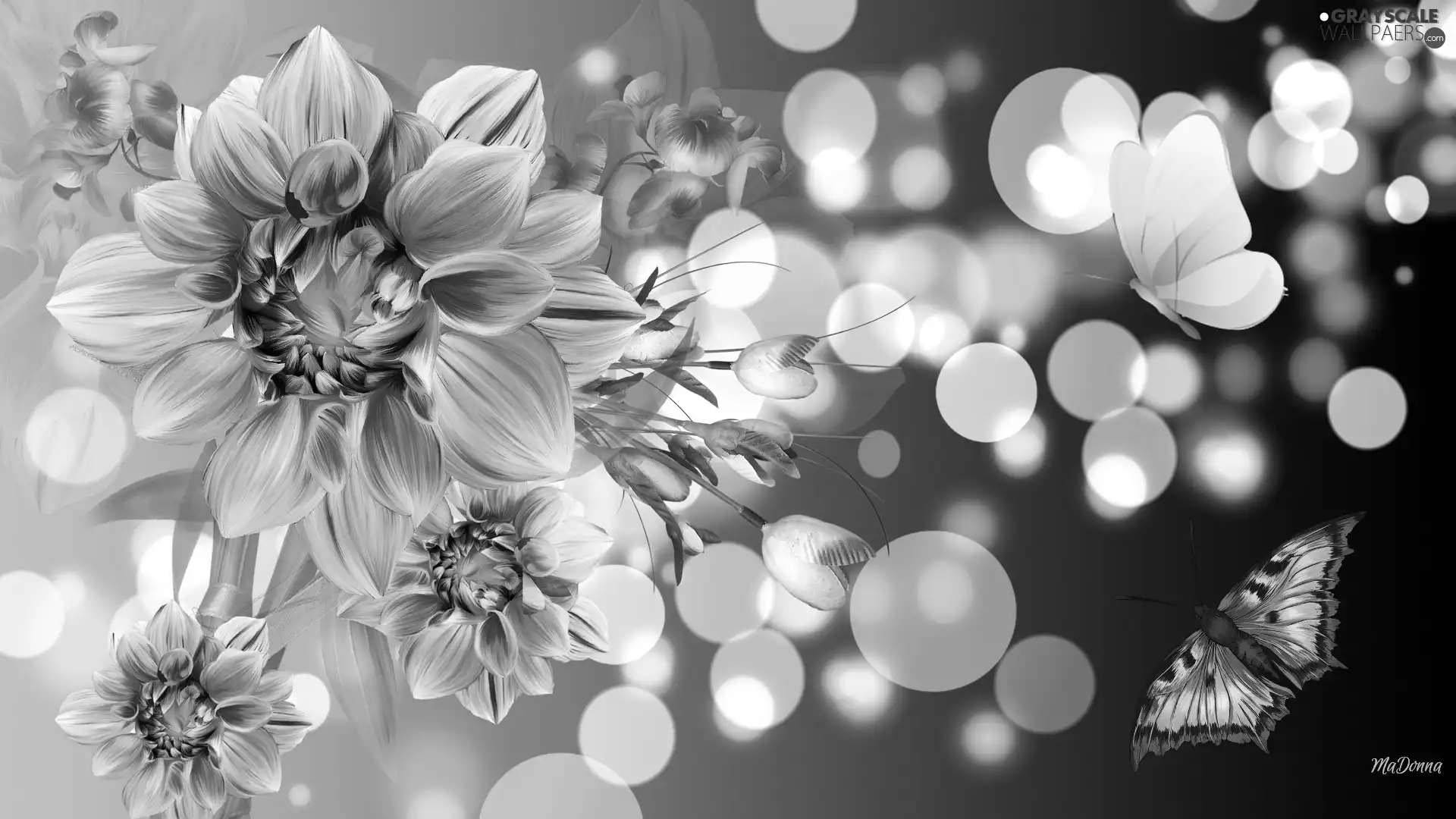 Flowers, Bokeh, Art, butterflies