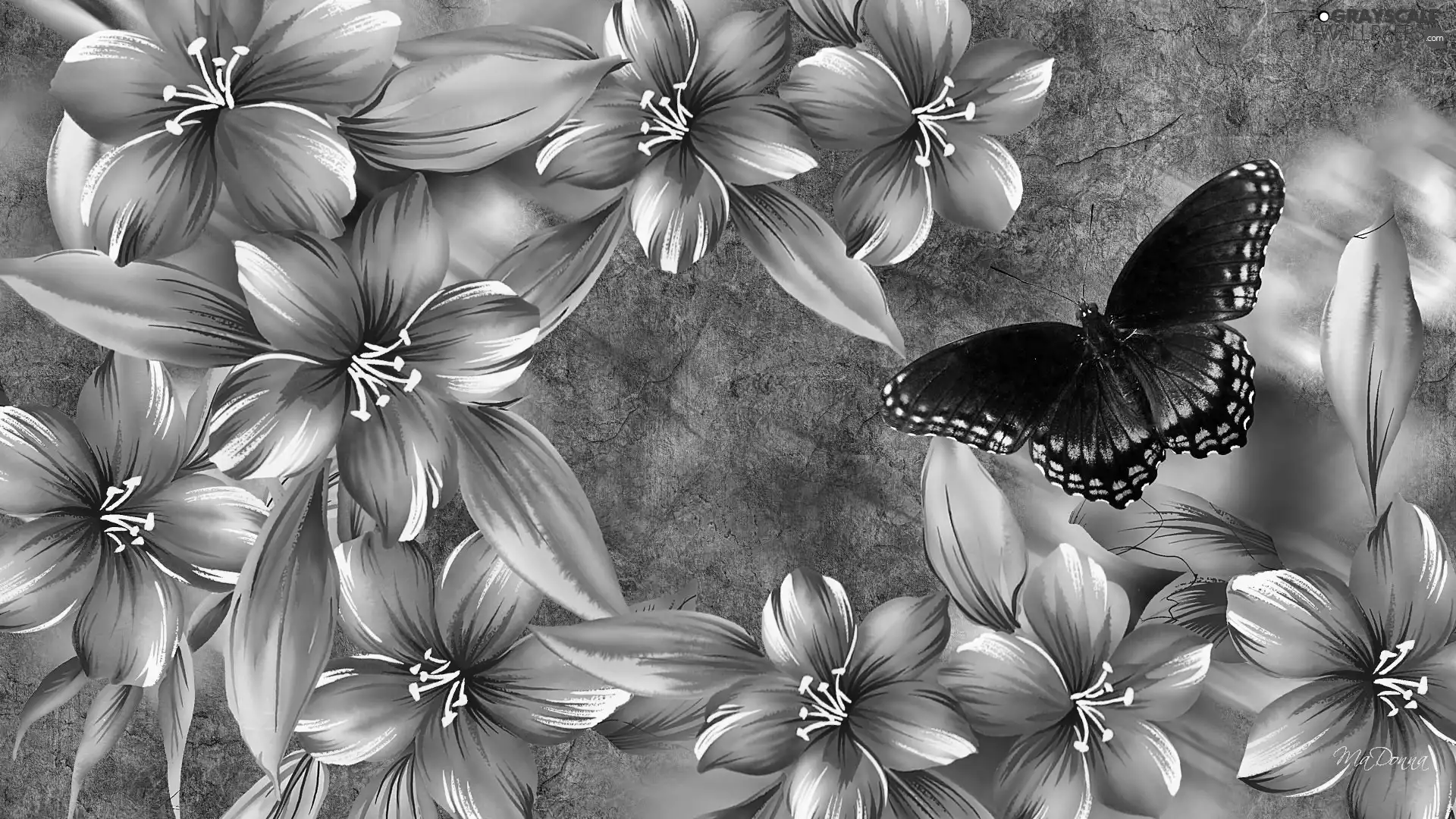 Flowers, butterfly, Art, hibiskus