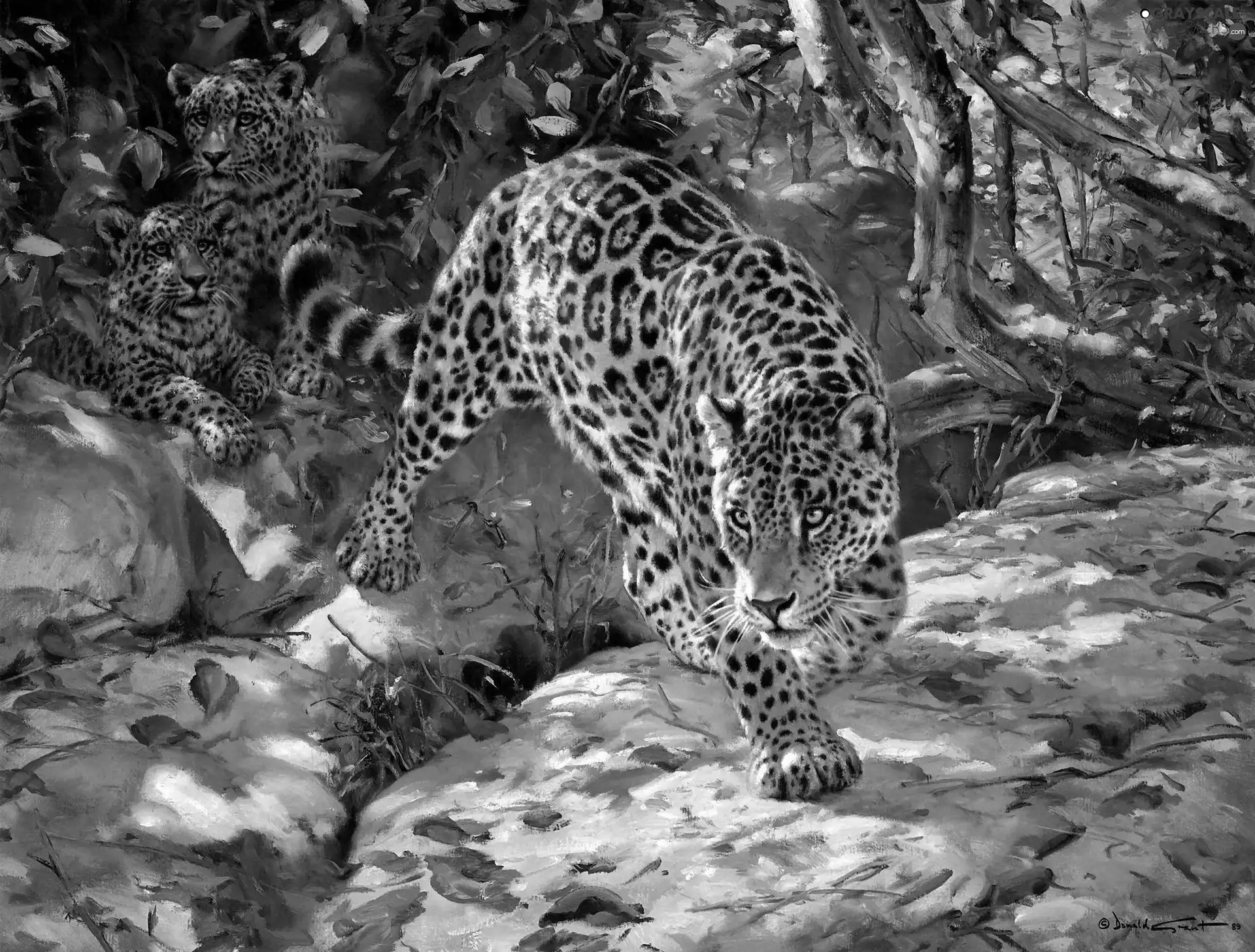 Art, Jaguar, viewes, snow, trees