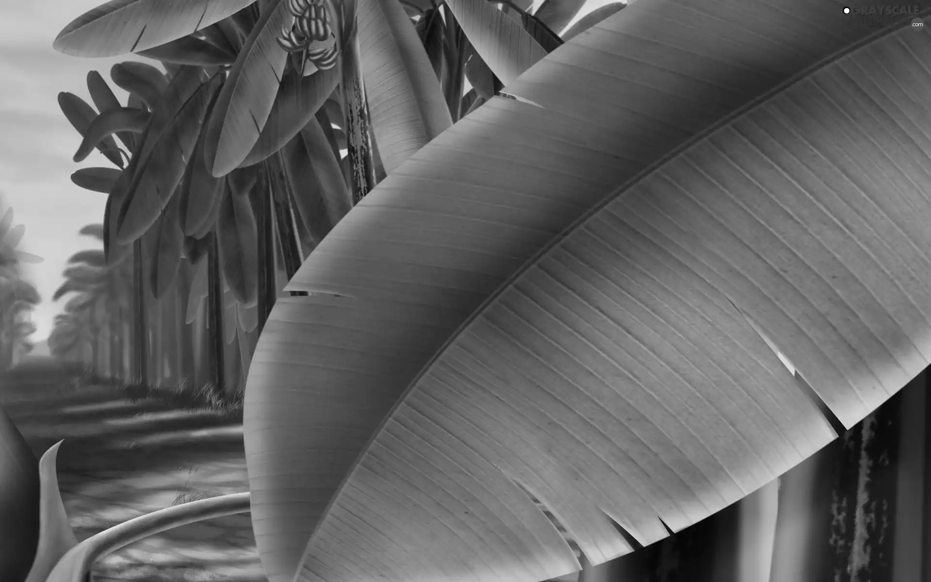Leaf, Art
