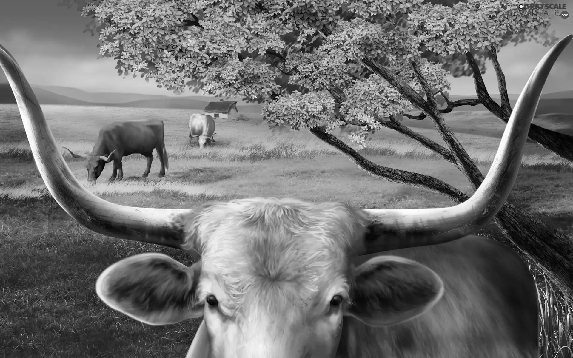 Art, Cows, Meadow