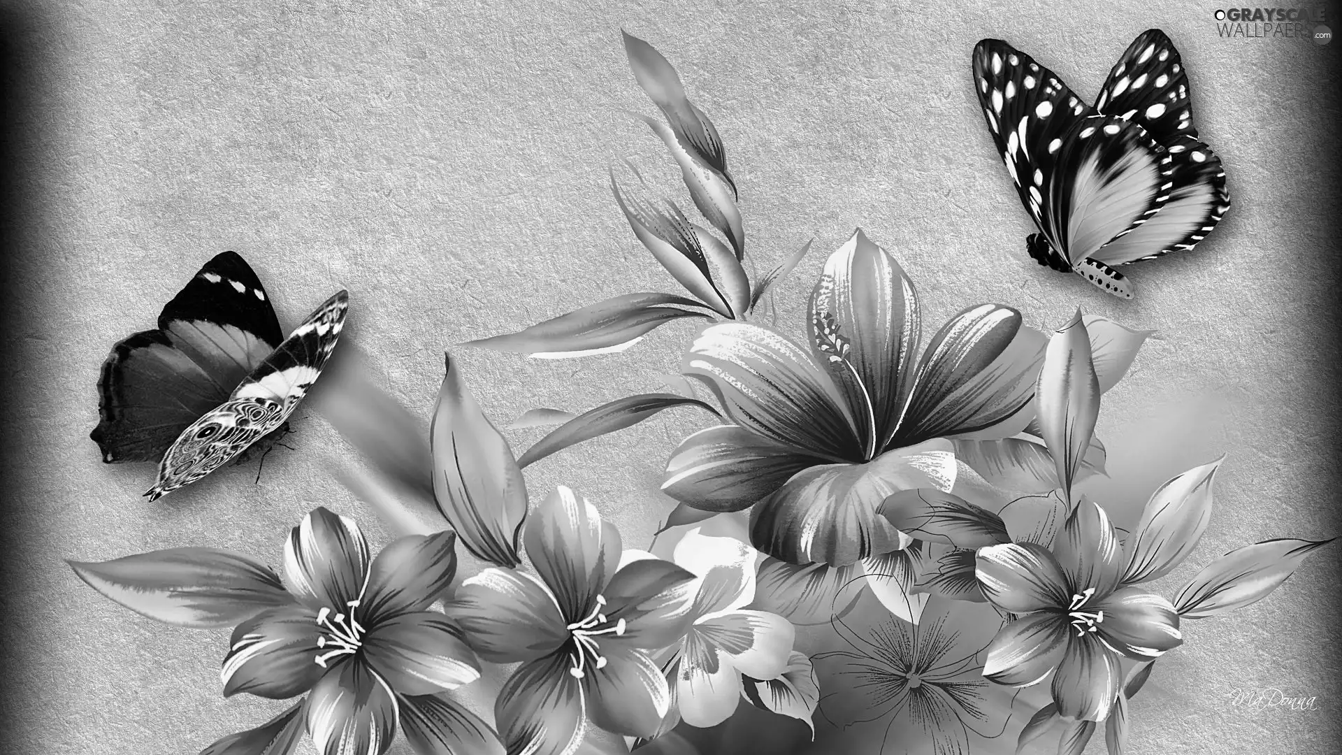 Pink, butterflies, Art, hibiskus