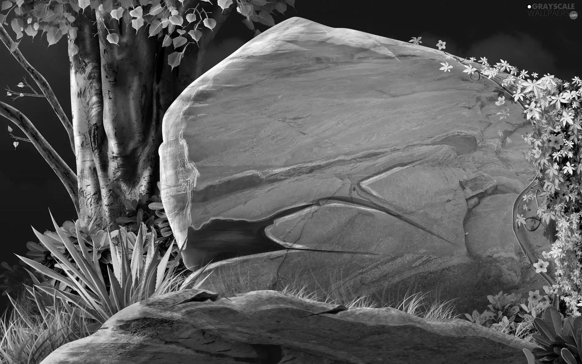Stone, Plants, Art, trees