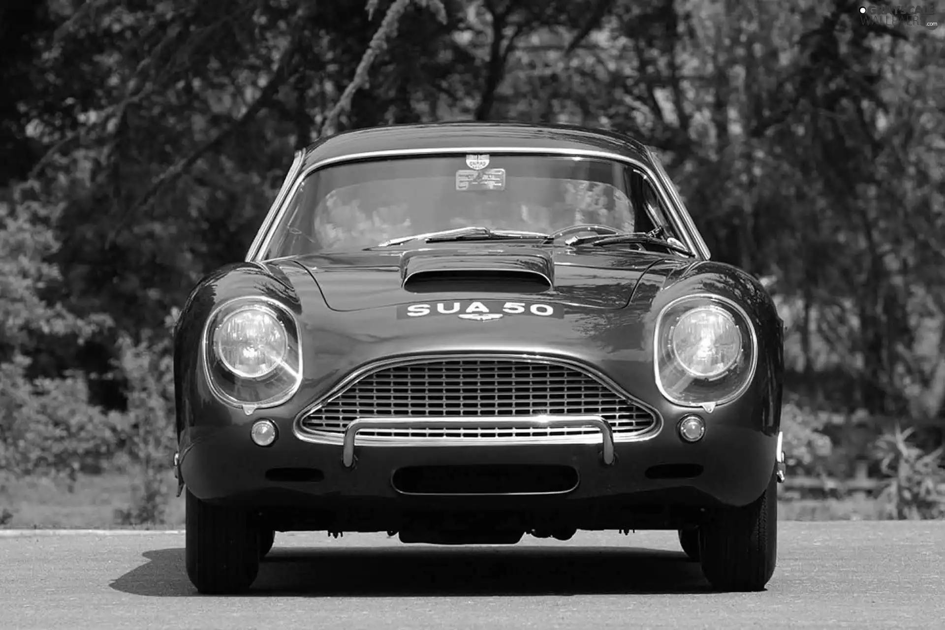 Grill, Front, Aston Martin DB4