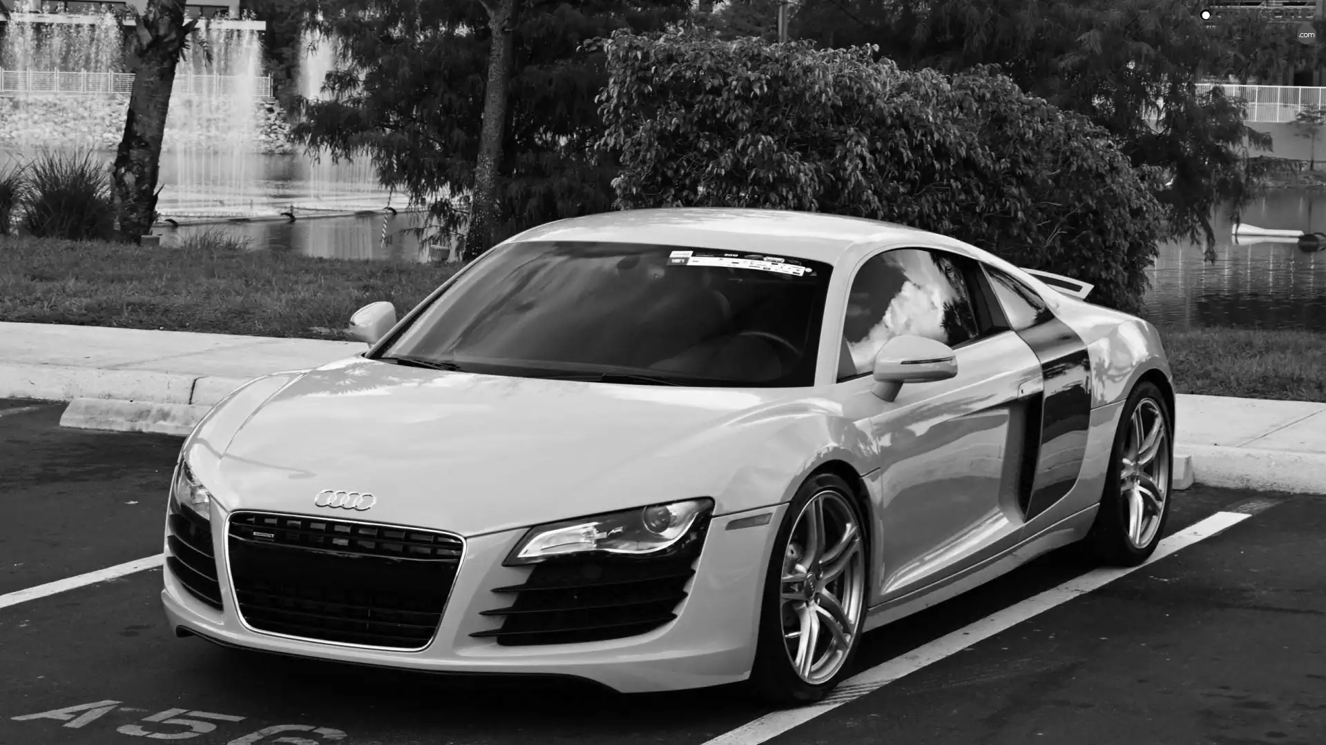 Audi R8, fountain