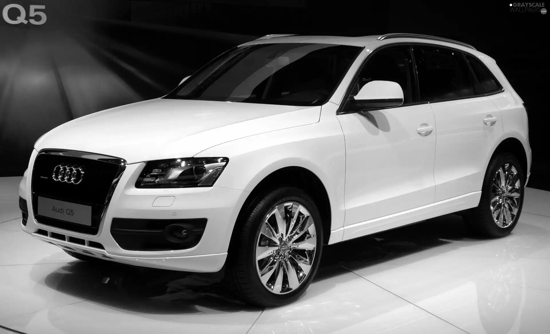 show, White, Audi Q5