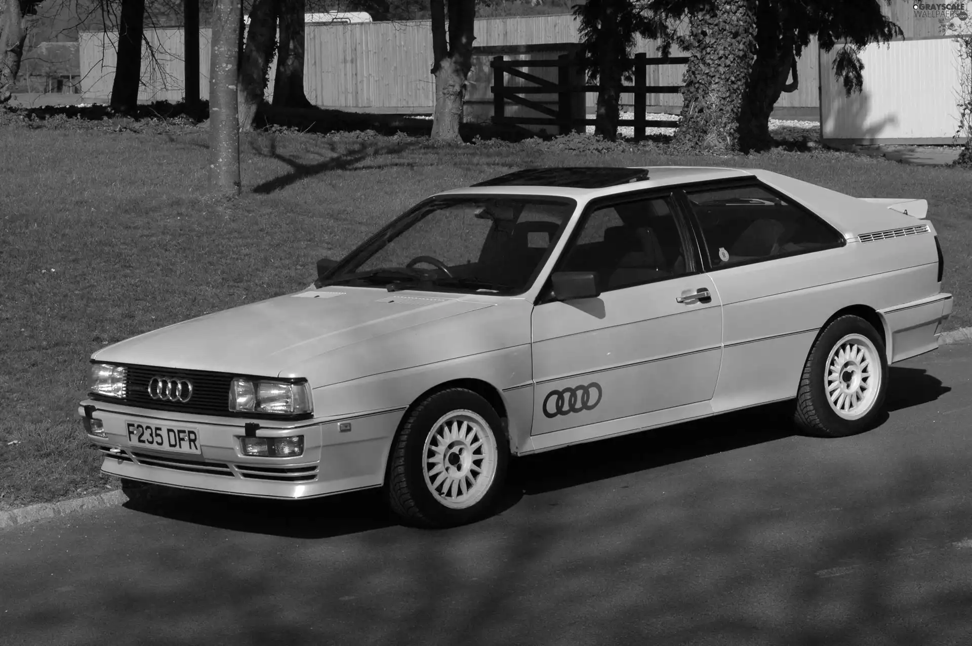 Sunroof, White, Audi GT