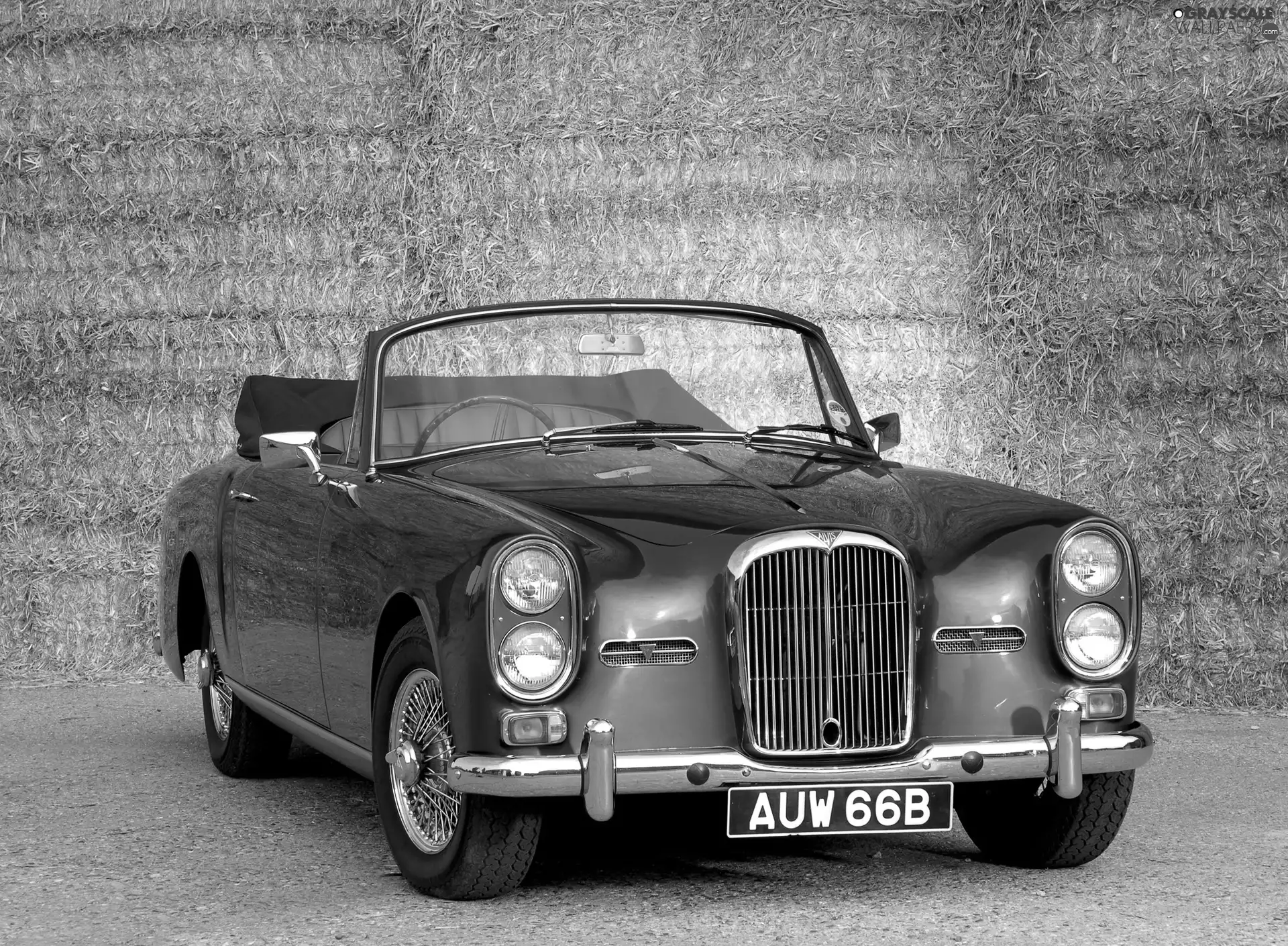 antique, Alvis TE21, Automobile