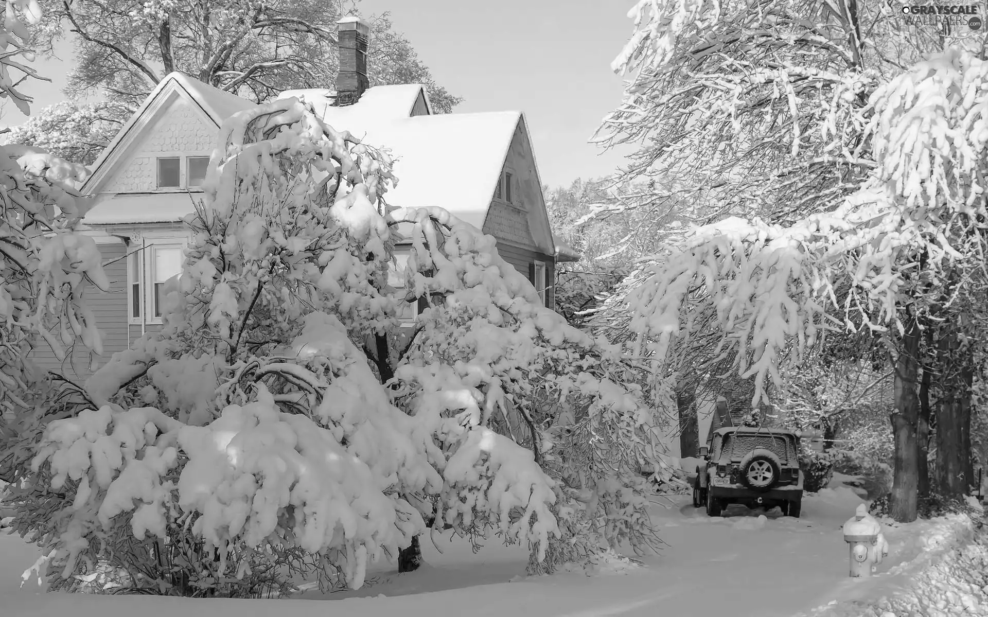 trees, winter, snow, Automobile, viewes, house