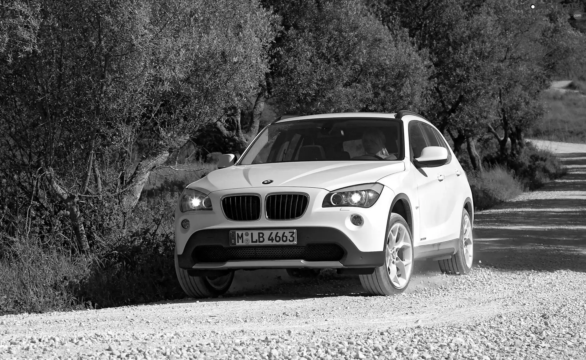 Automobile, BMW, X1