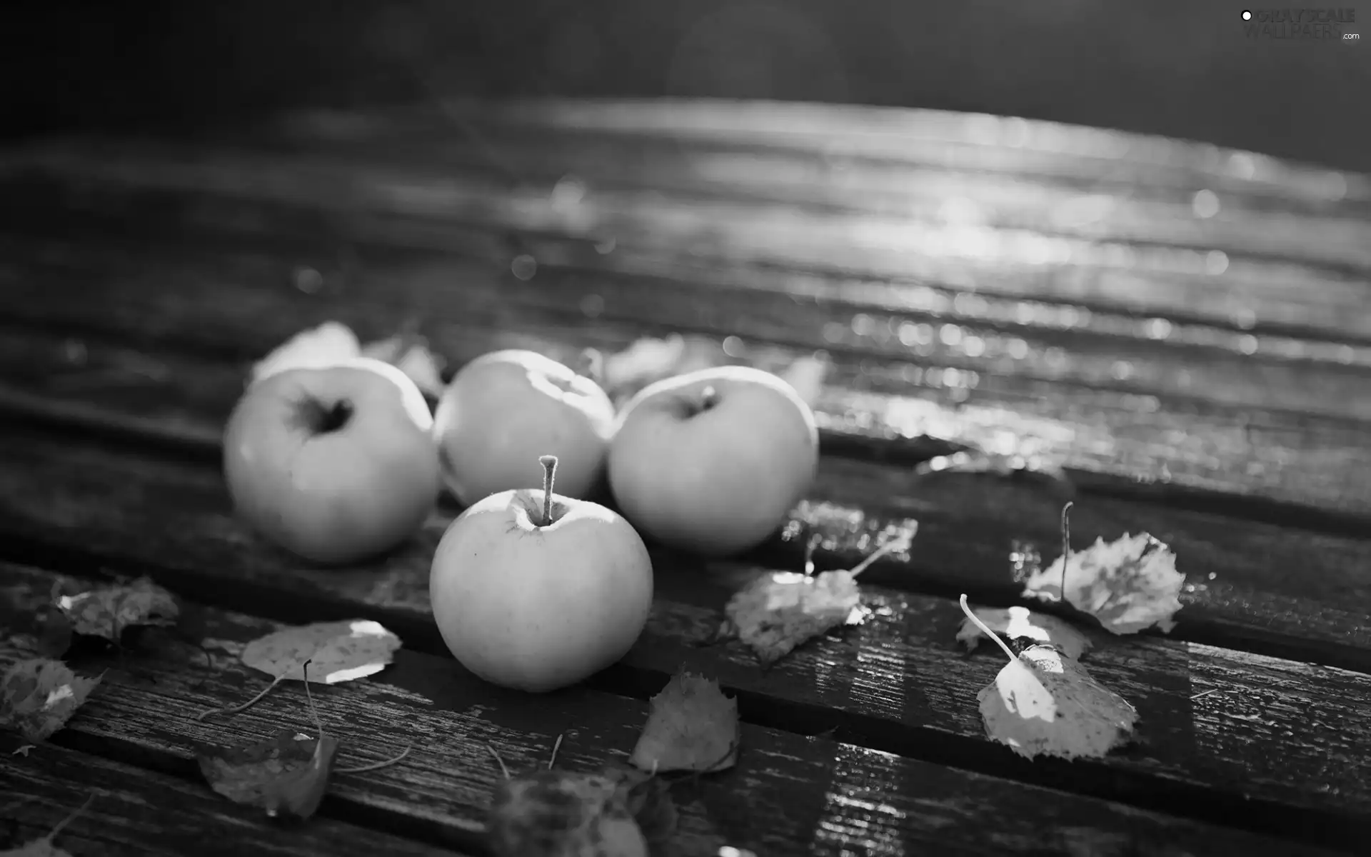 apples, Bench, autumn, Leaf