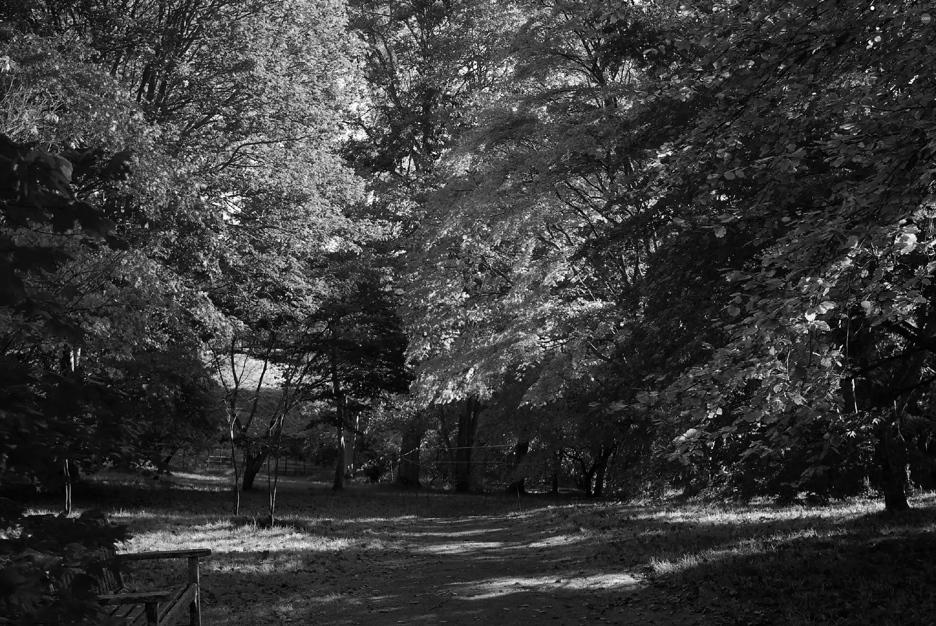 autumn, Park, Bench