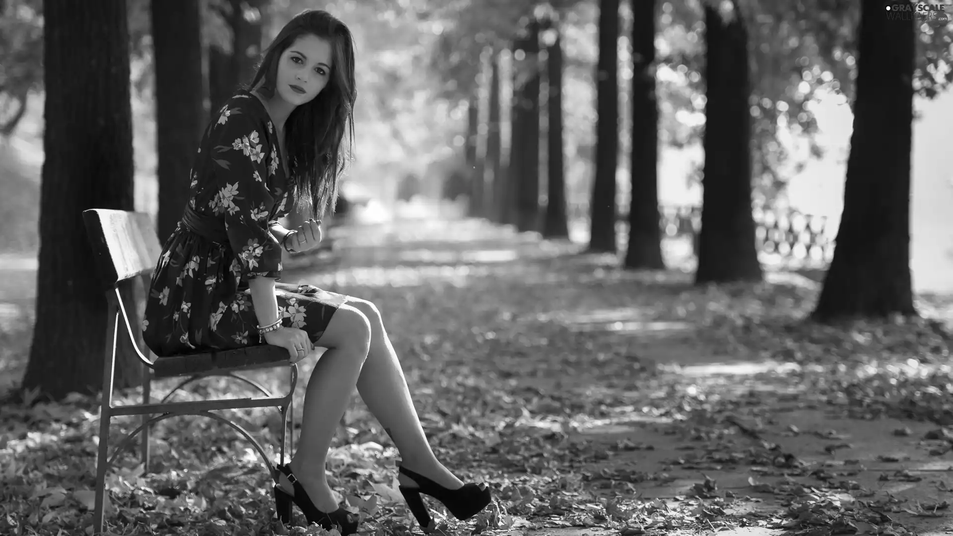 autumn, Women, Bench